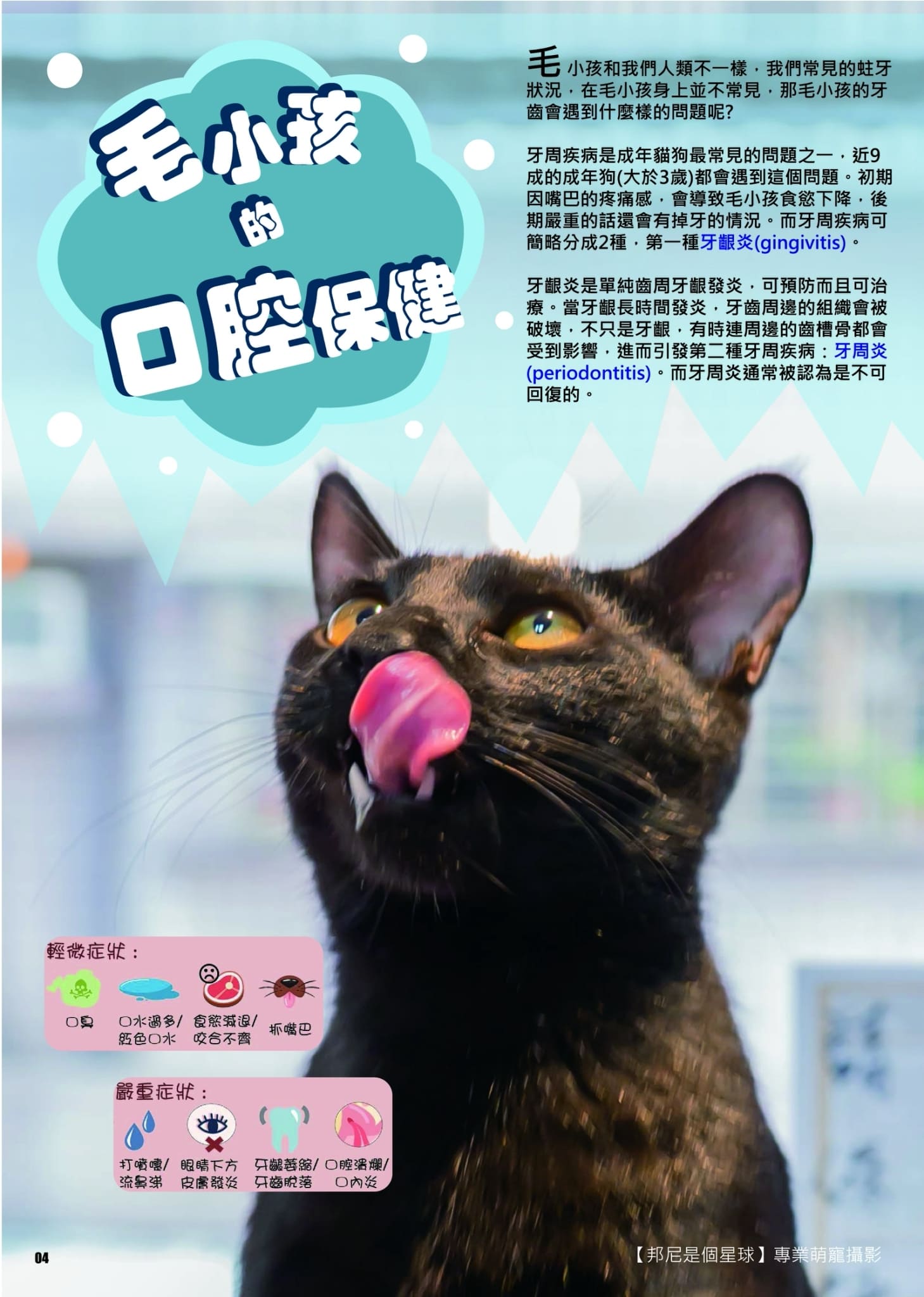 第14期 260401 7