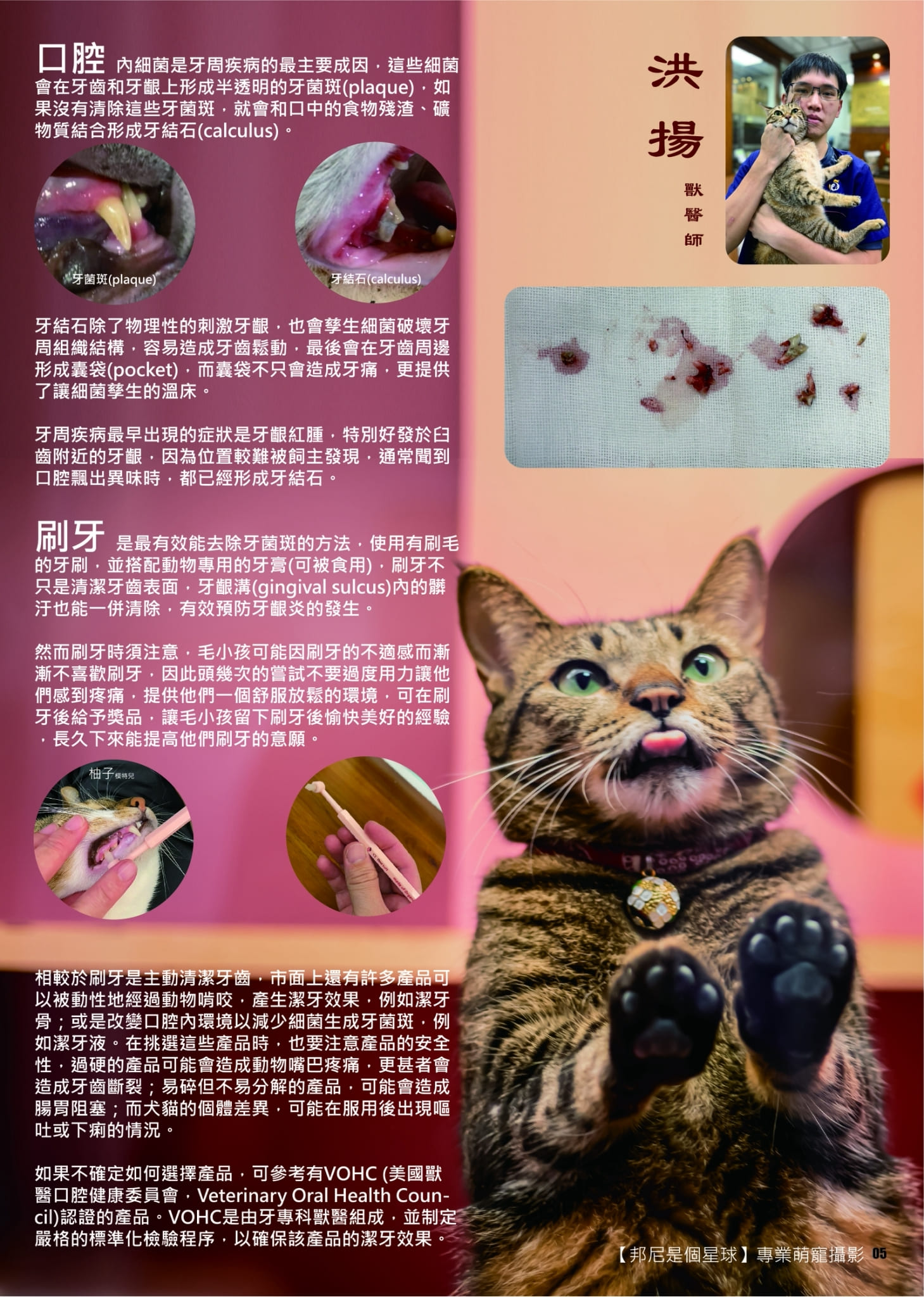 第14期 260401 8
