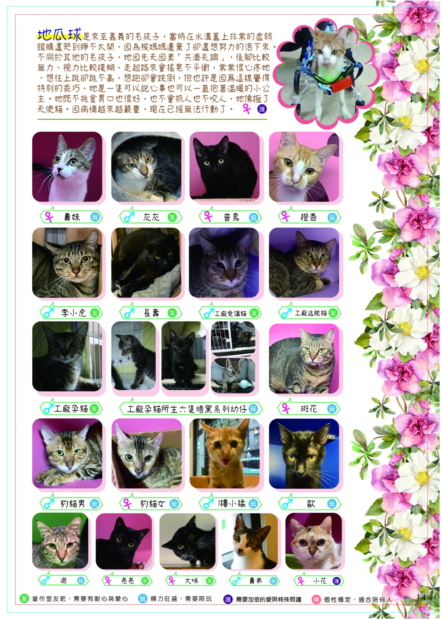 LINE ALBUM 14期會訊校稿 260331 4