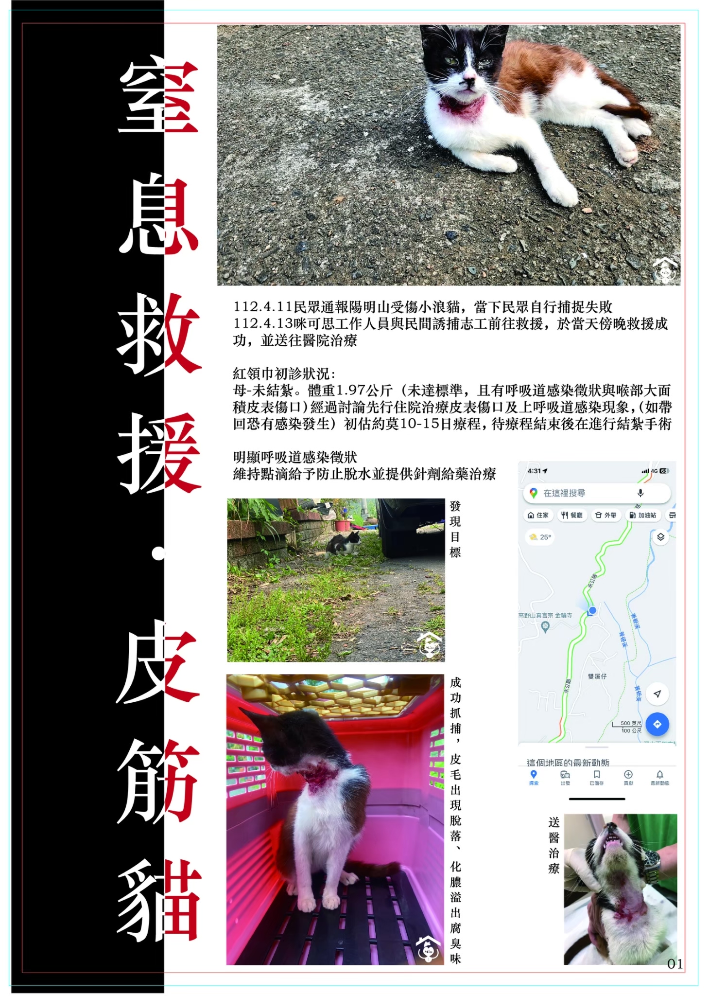 LINE ALBUM 15期會訊 260331 4