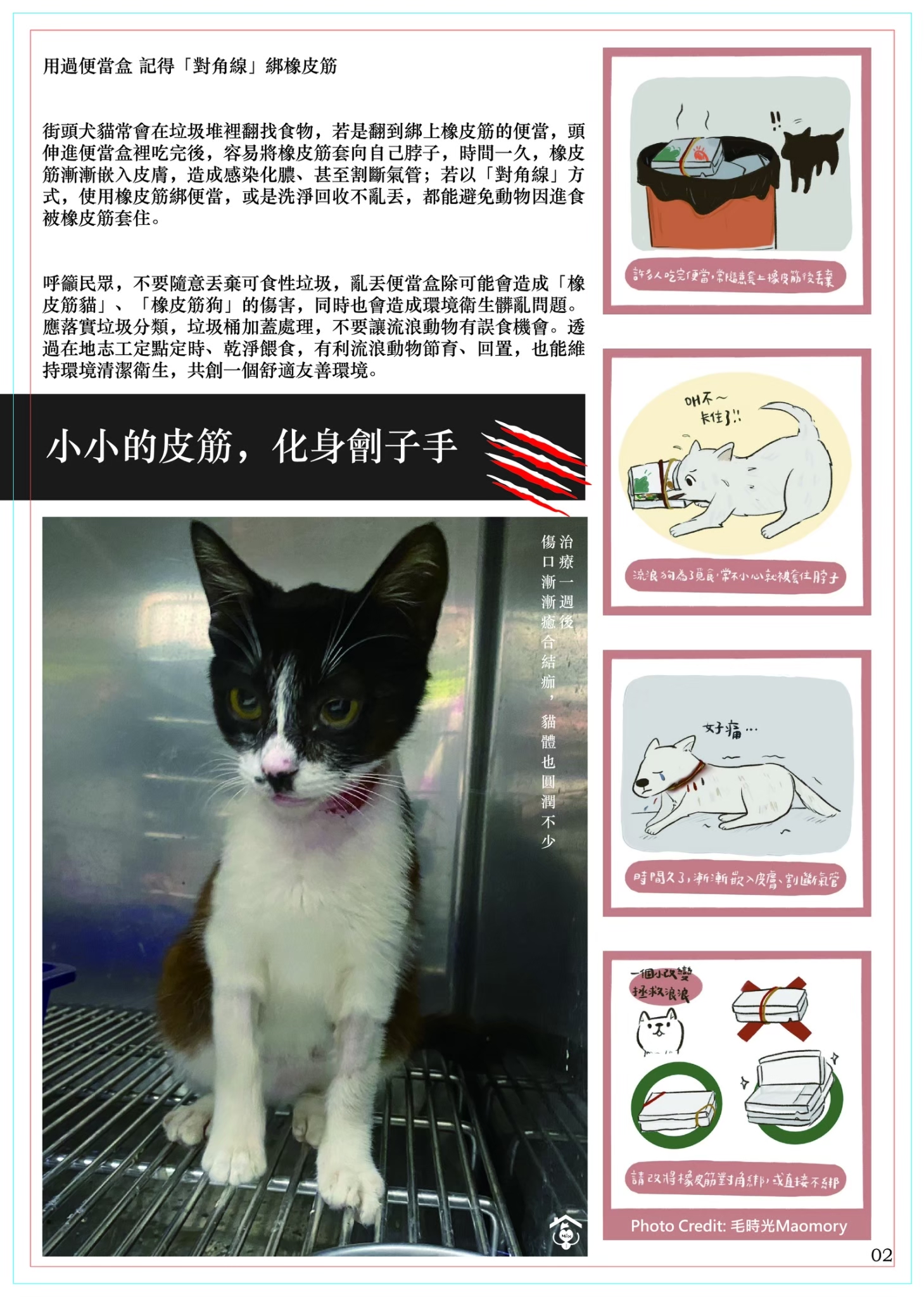 LINE ALBUM 15期會訊 260331 5