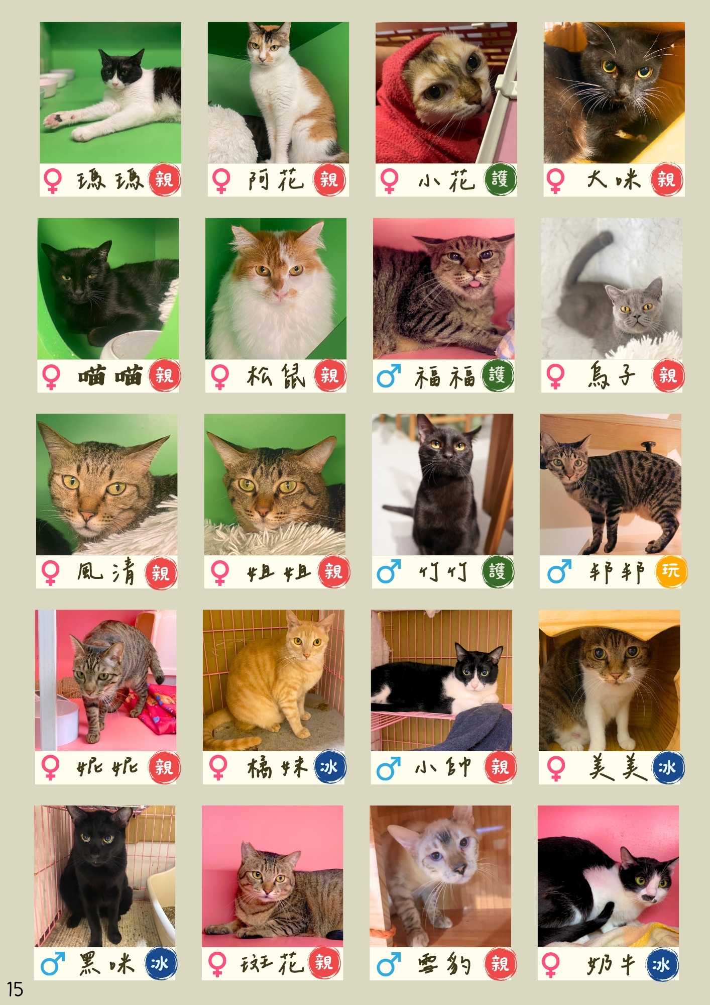 LINE ALBUM 16期會訊 260331 11