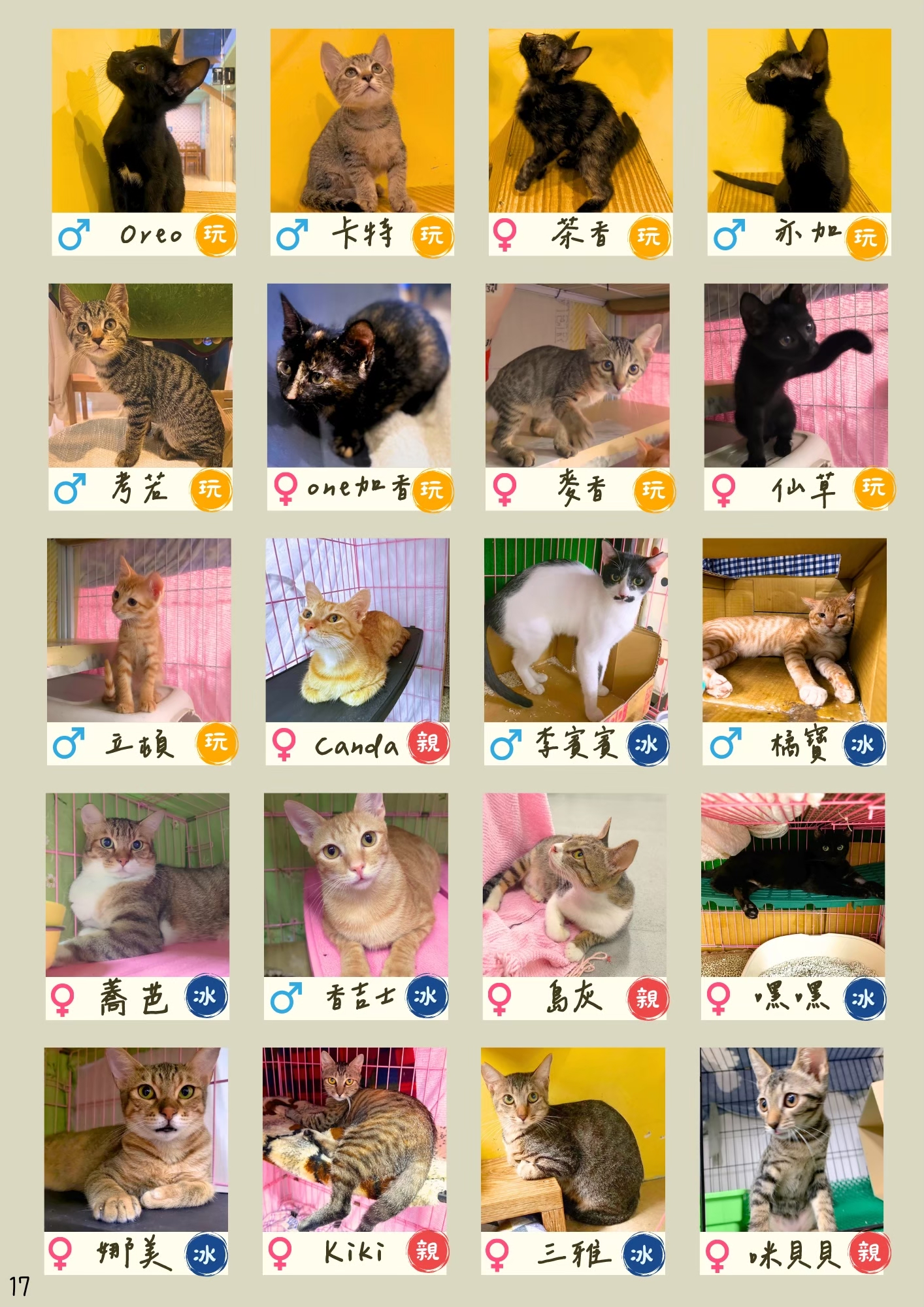 LINE ALBUM 16期會訊 260331 12