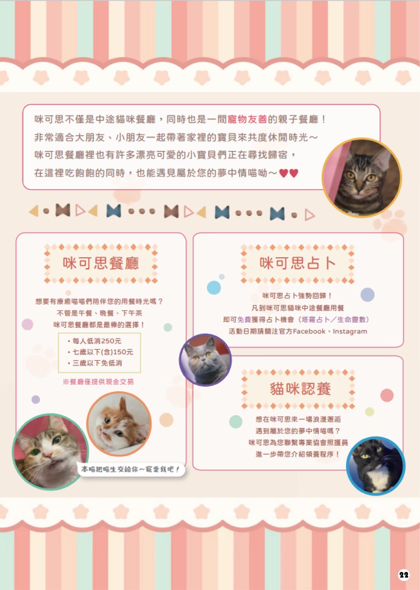 LINE ALBUM 16期會訊 260331 13