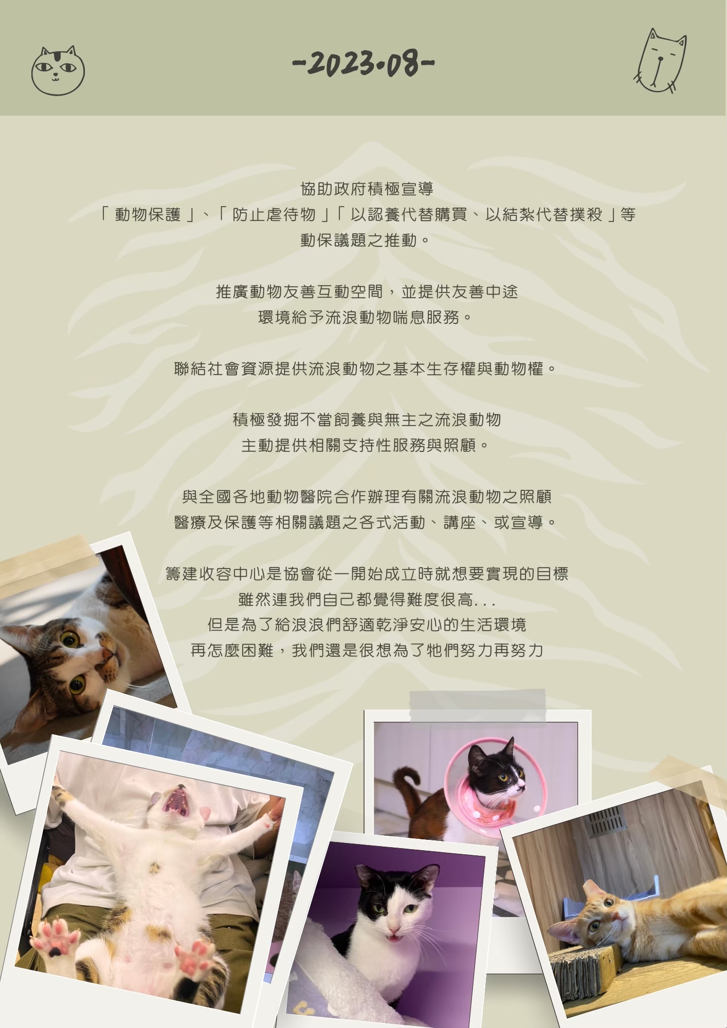 LINE ALBUM 16期會訊 260331 3