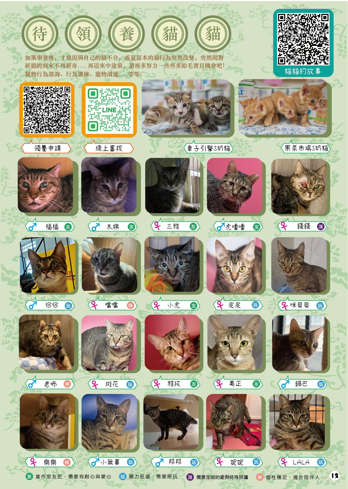 LINE ALBUM 16期會訊 260331 3