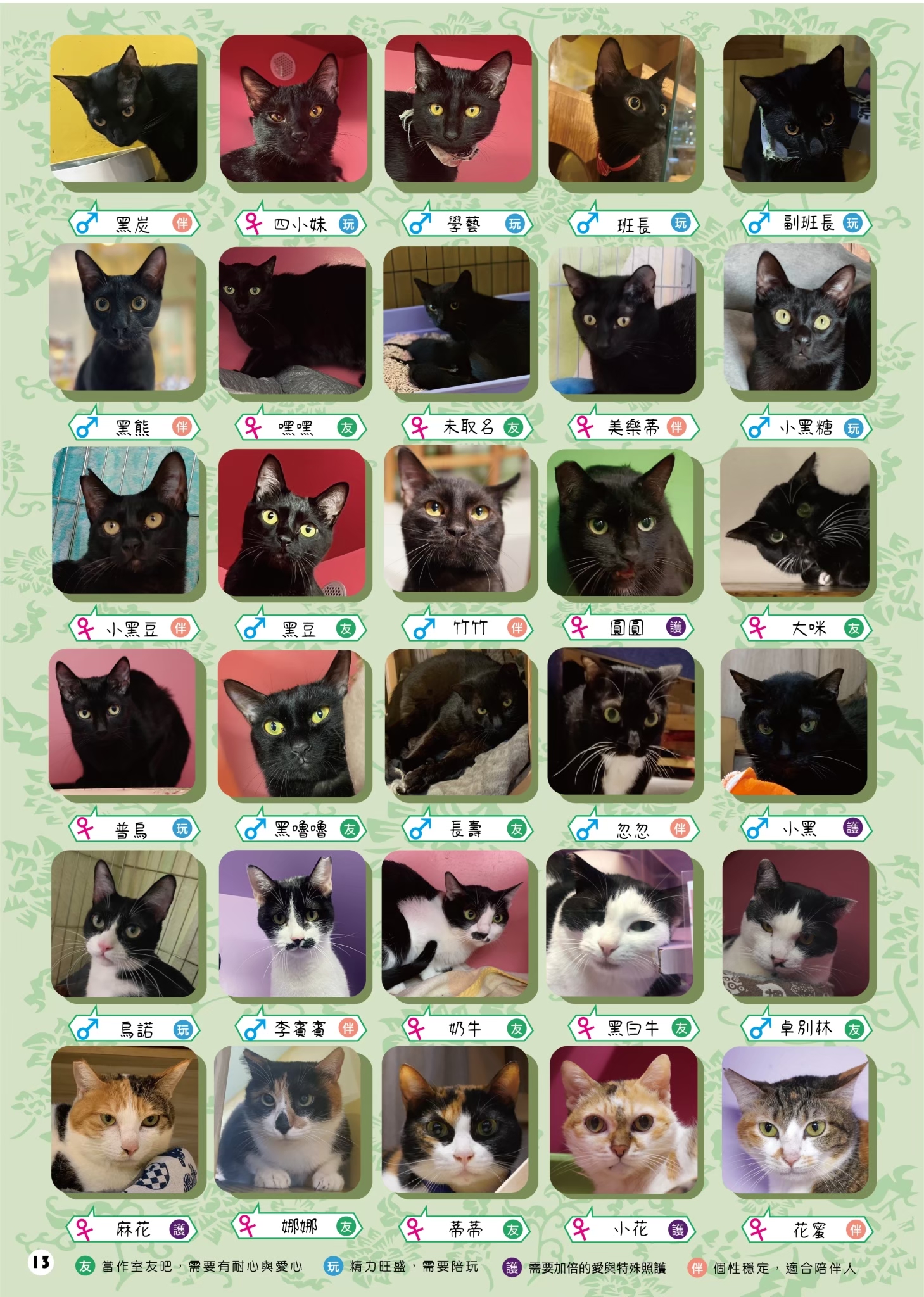 LINE ALBUM 16期會訊 260331 4