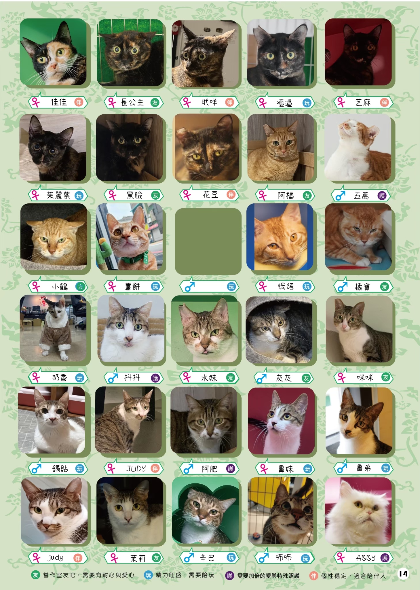 LINE ALBUM 16期會訊 260331 5