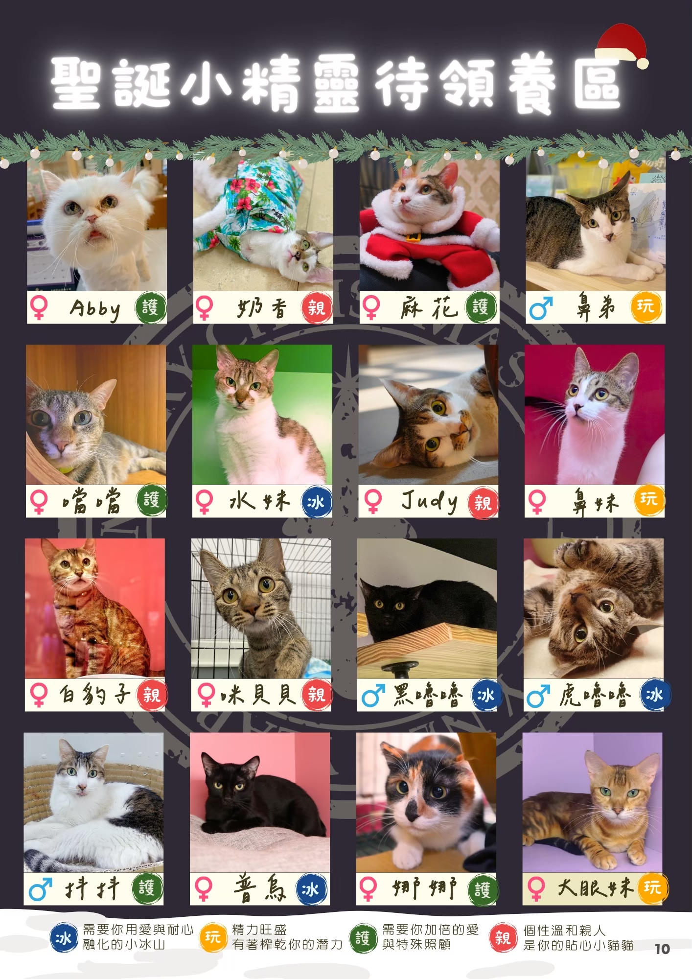 LINE ALBUM 17期會訊 260331 13