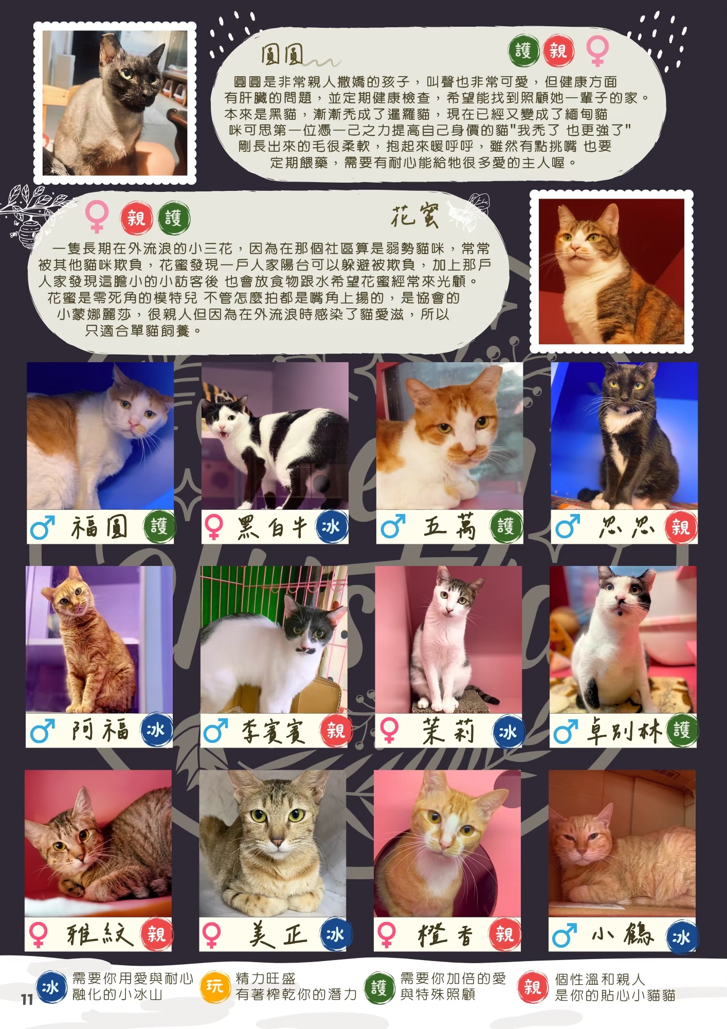 LINE ALBUM 17期會訊 260331 14