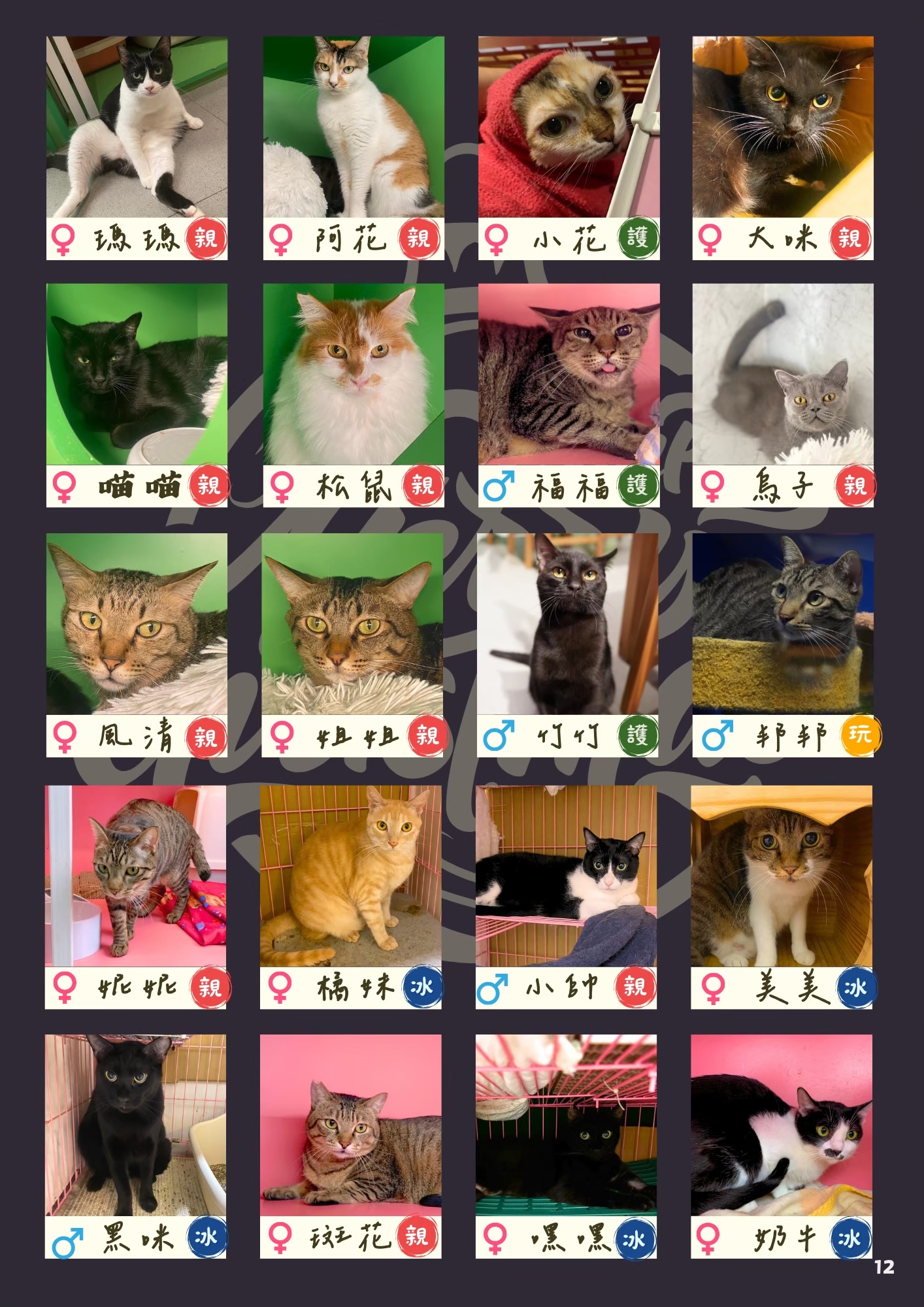 LINE ALBUM 17期會訊 260331 15