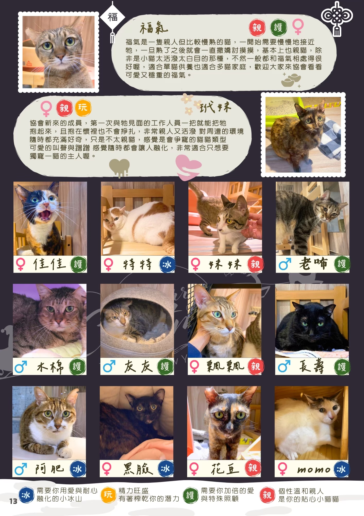 LINE ALBUM 17期會訊 260331 16