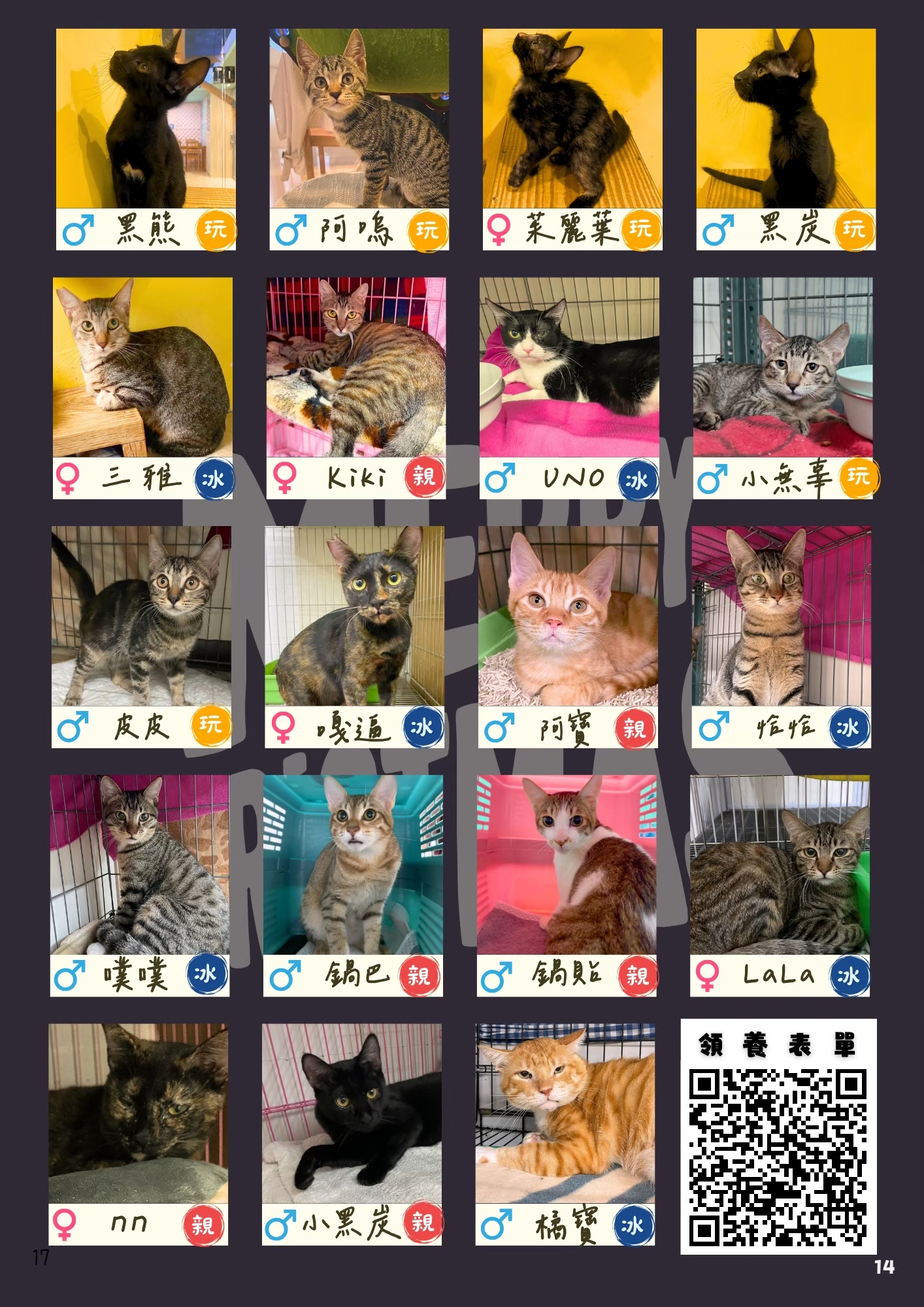 LINE ALBUM 17期會訊 260331 17