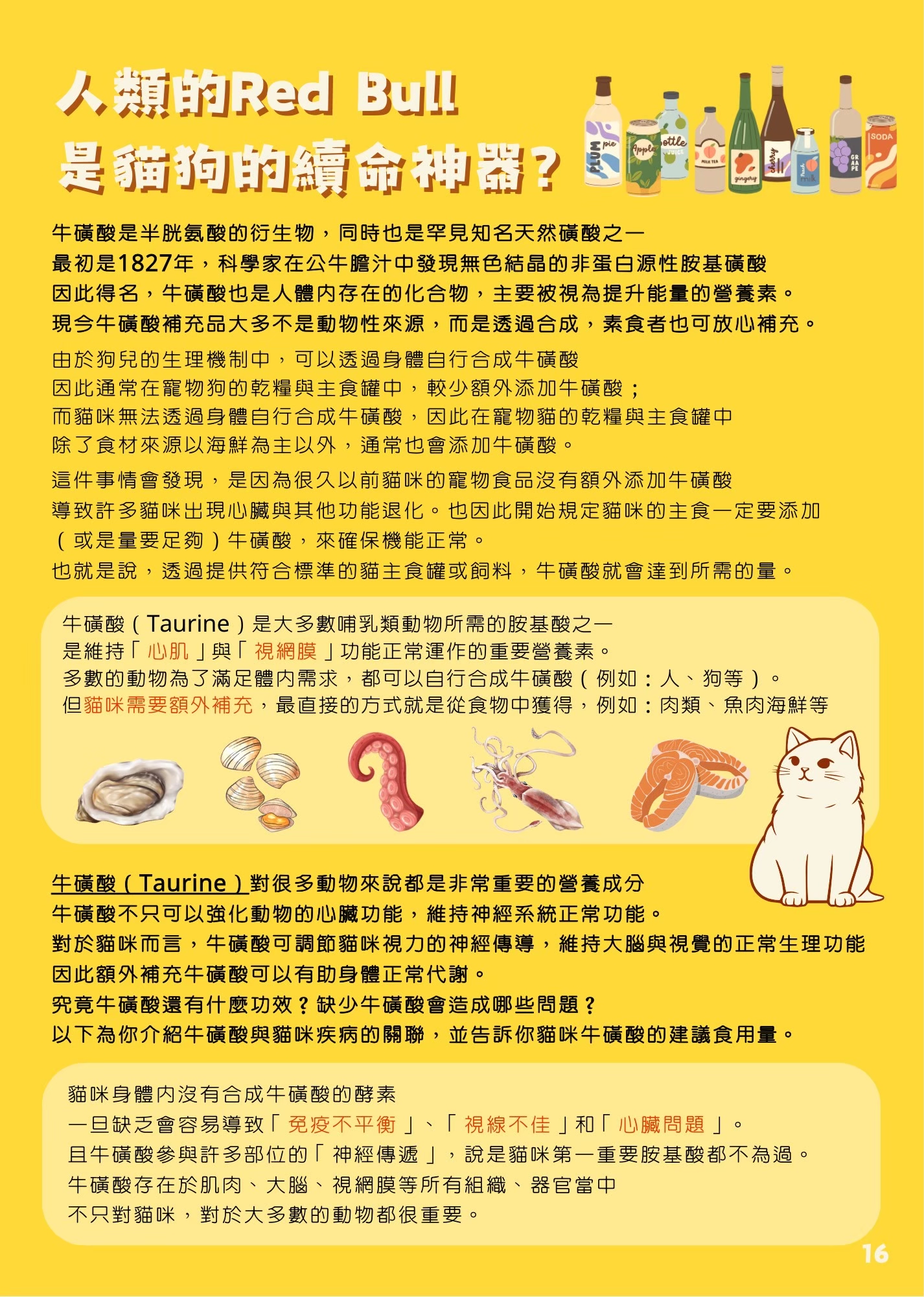 LINE ALBUM 17期會訊 260331 19