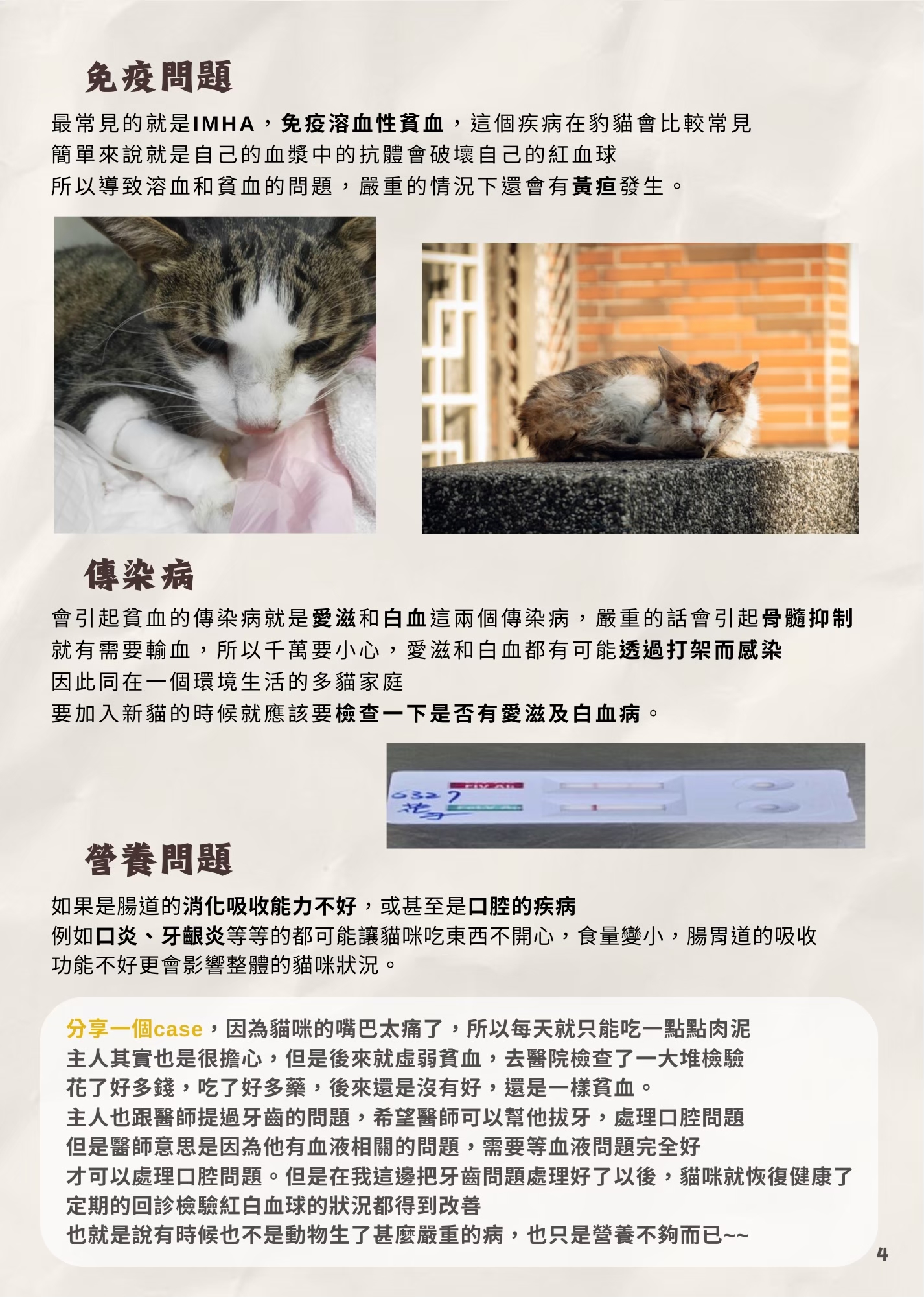 LINE ALBUM 17期會訊 260331 7