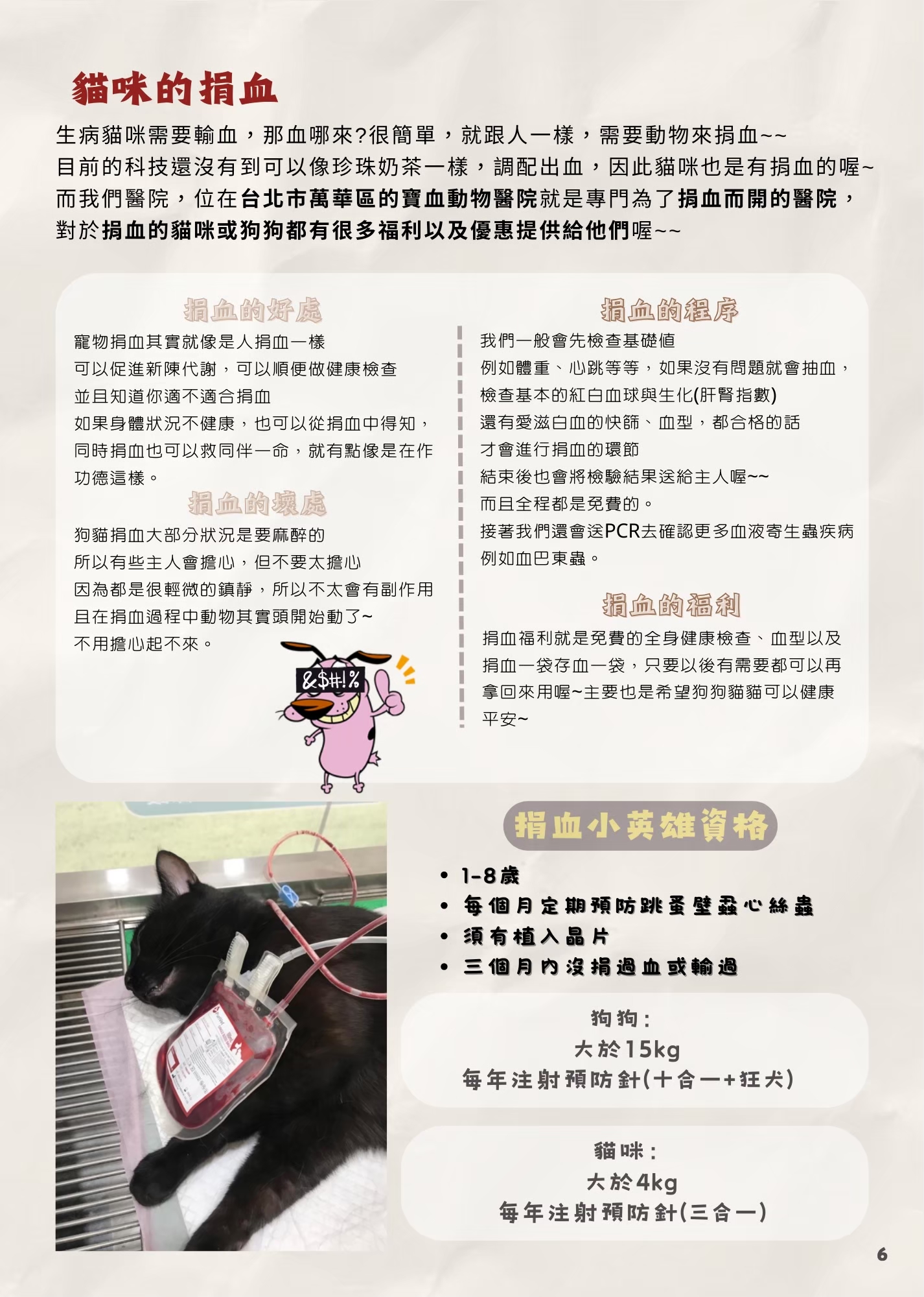 LINE ALBUM 17期會訊 260331 9