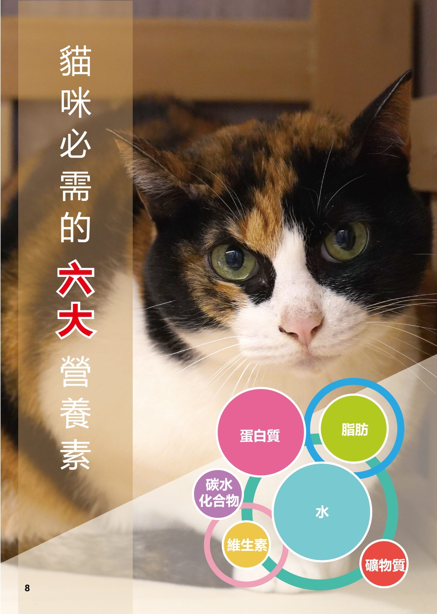 LINE ALBUM 19期會刊 260318 11