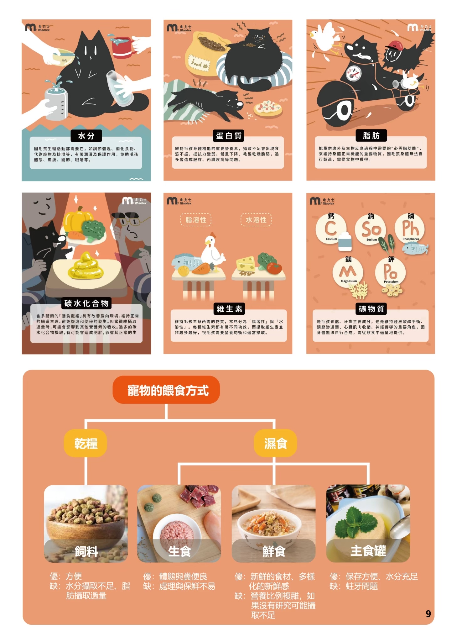 LINE ALBUM 19期會刊 260318 12