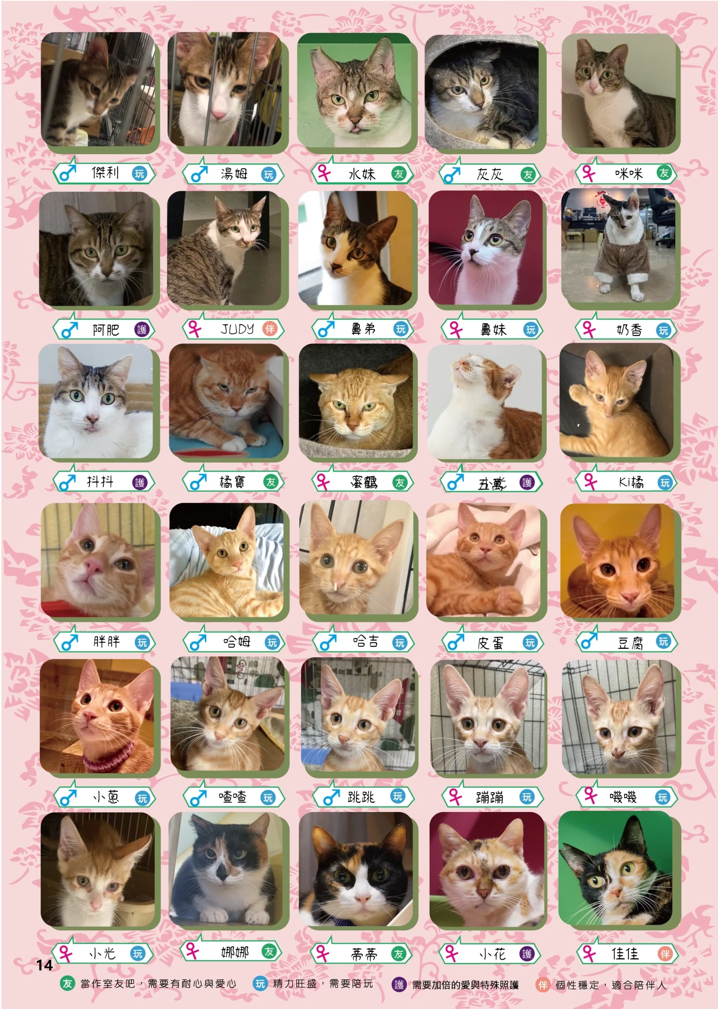 LINE ALBUM 19期會刊 260318 17