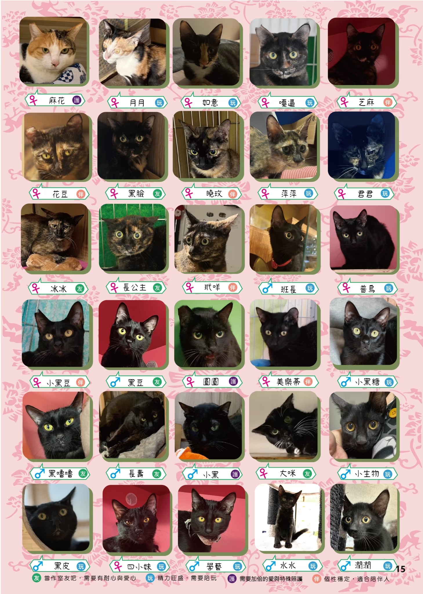 LINE ALBUM 19期會刊 260318 18