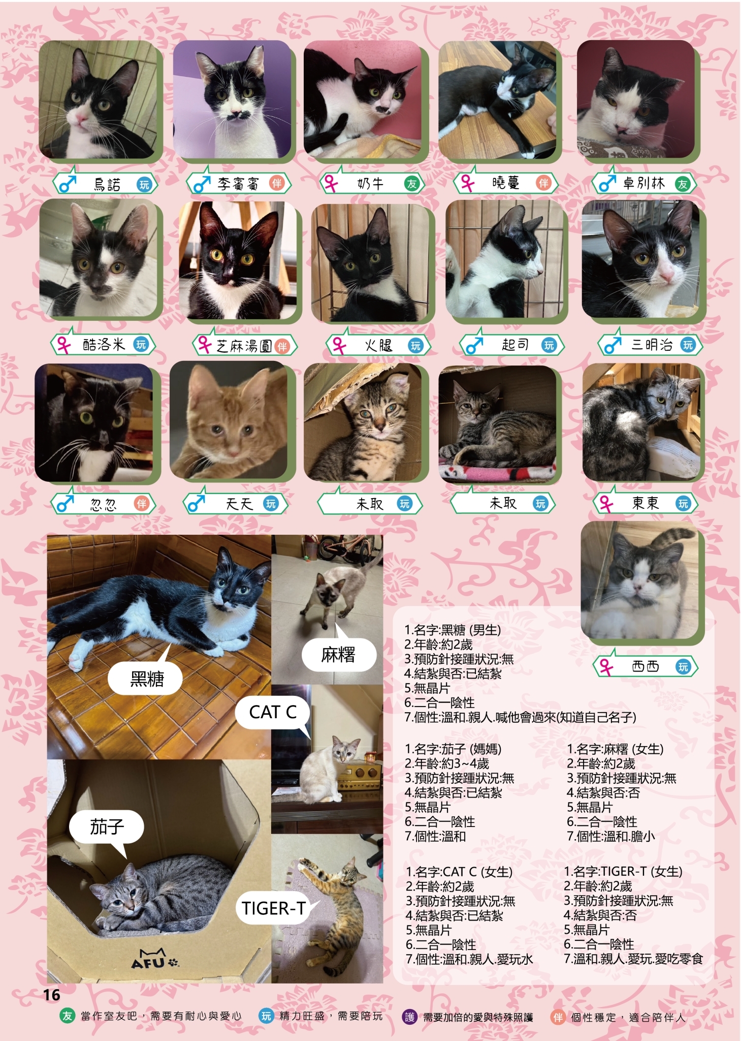 LINE ALBUM 19期會刊 260318 19