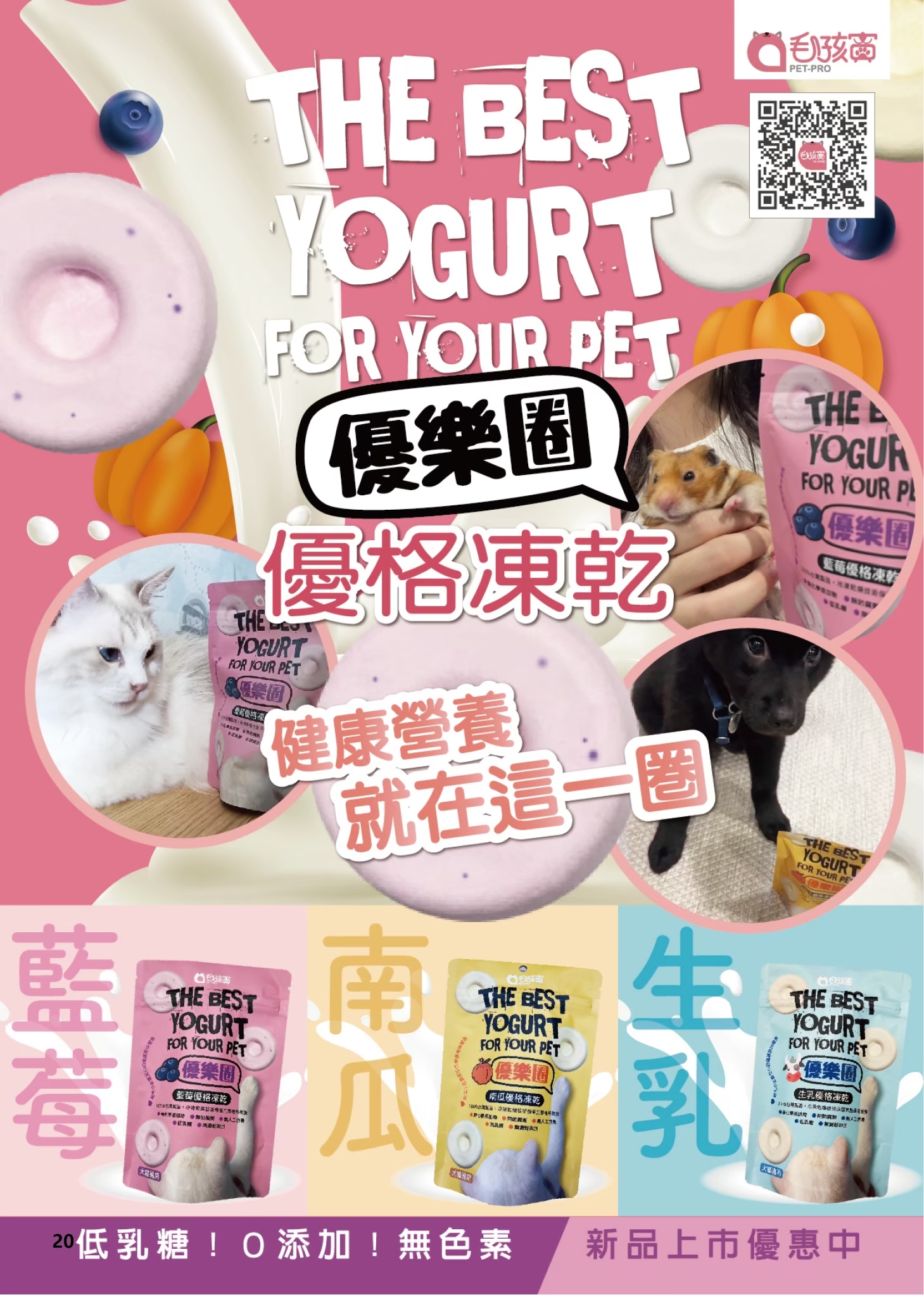 LINE ALBUM 19期會刊 260318 23