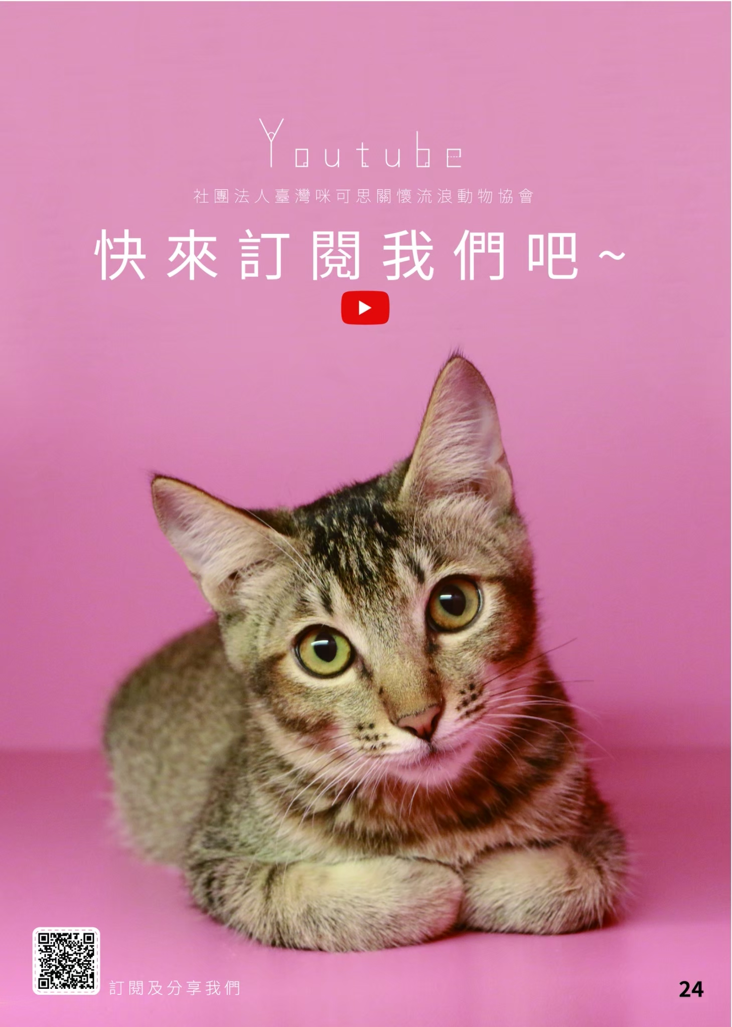LINE ALBUM 20期會訊 260318 25