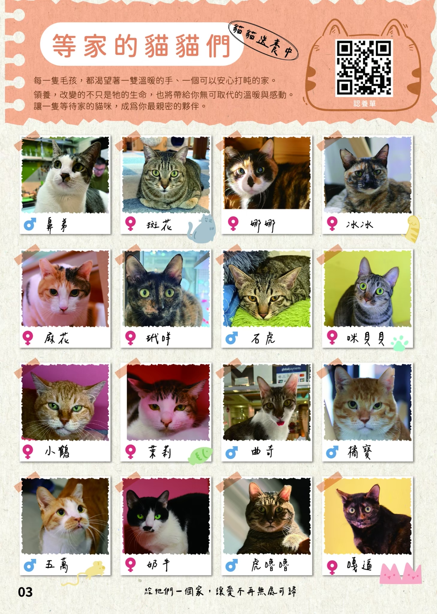 LINE ALBUM 20期會訊 260318 4