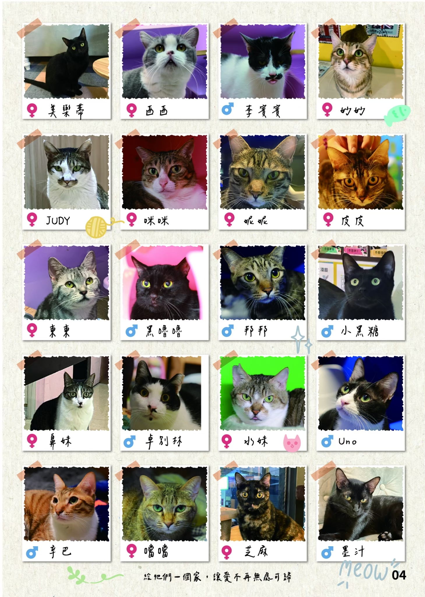 LINE ALBUM 20期會訊 260318 5