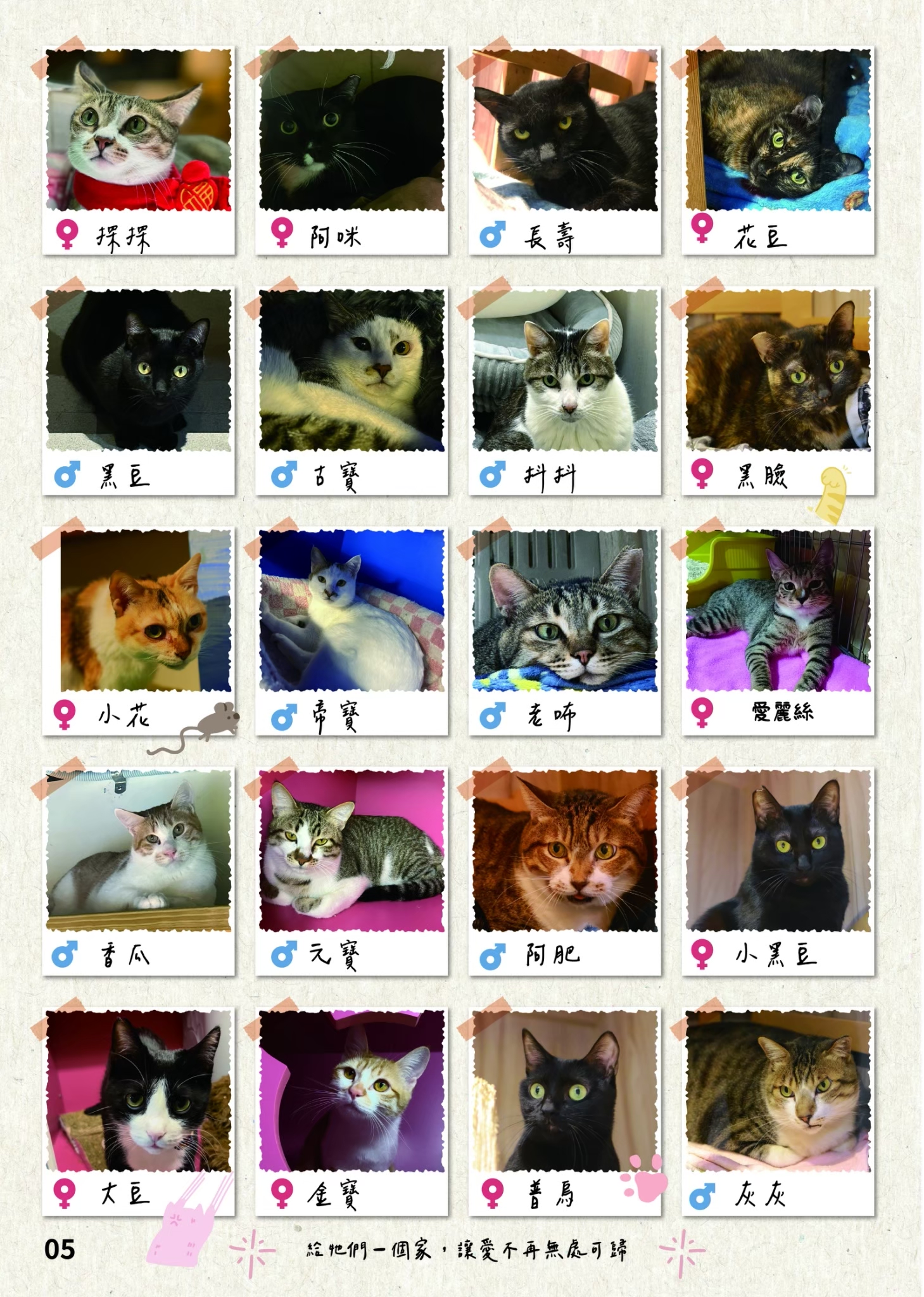 LINE ALBUM 20期會訊 260318 6