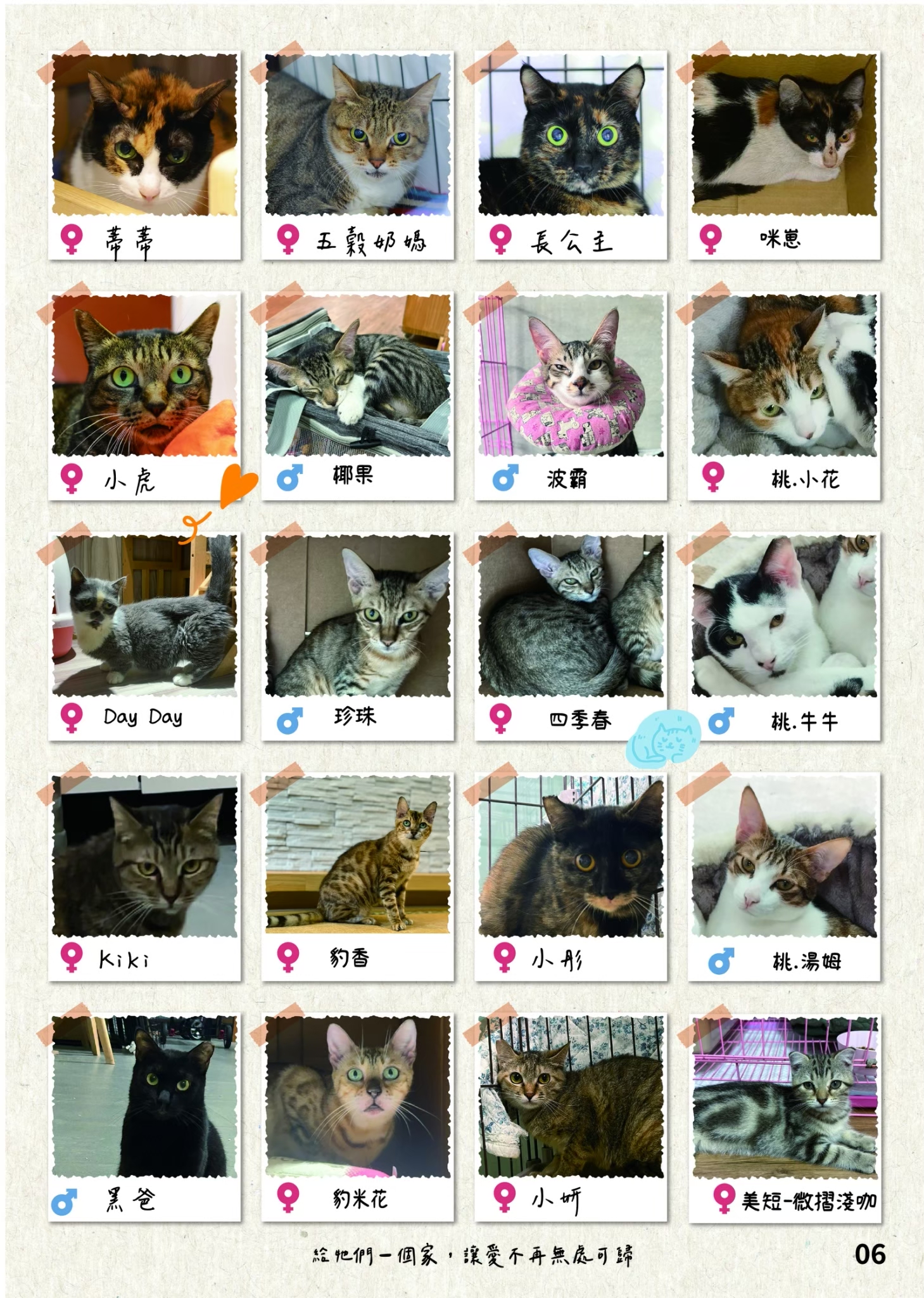 LINE ALBUM 20期會訊 260318 7