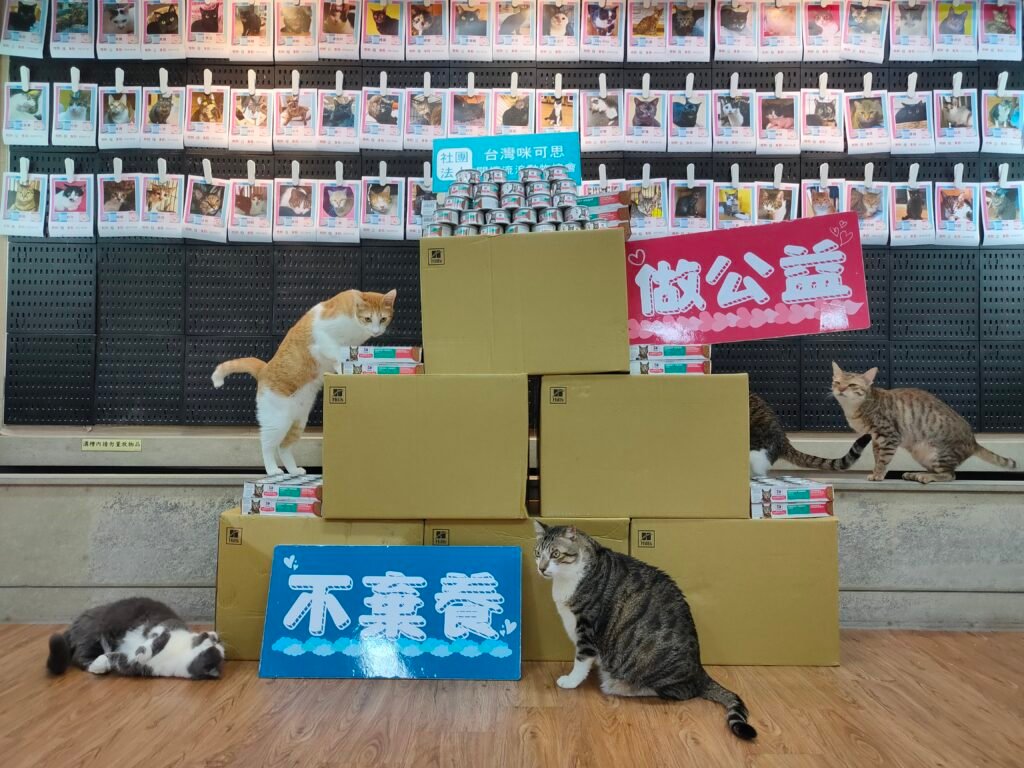 希爾思 合作圖片 1