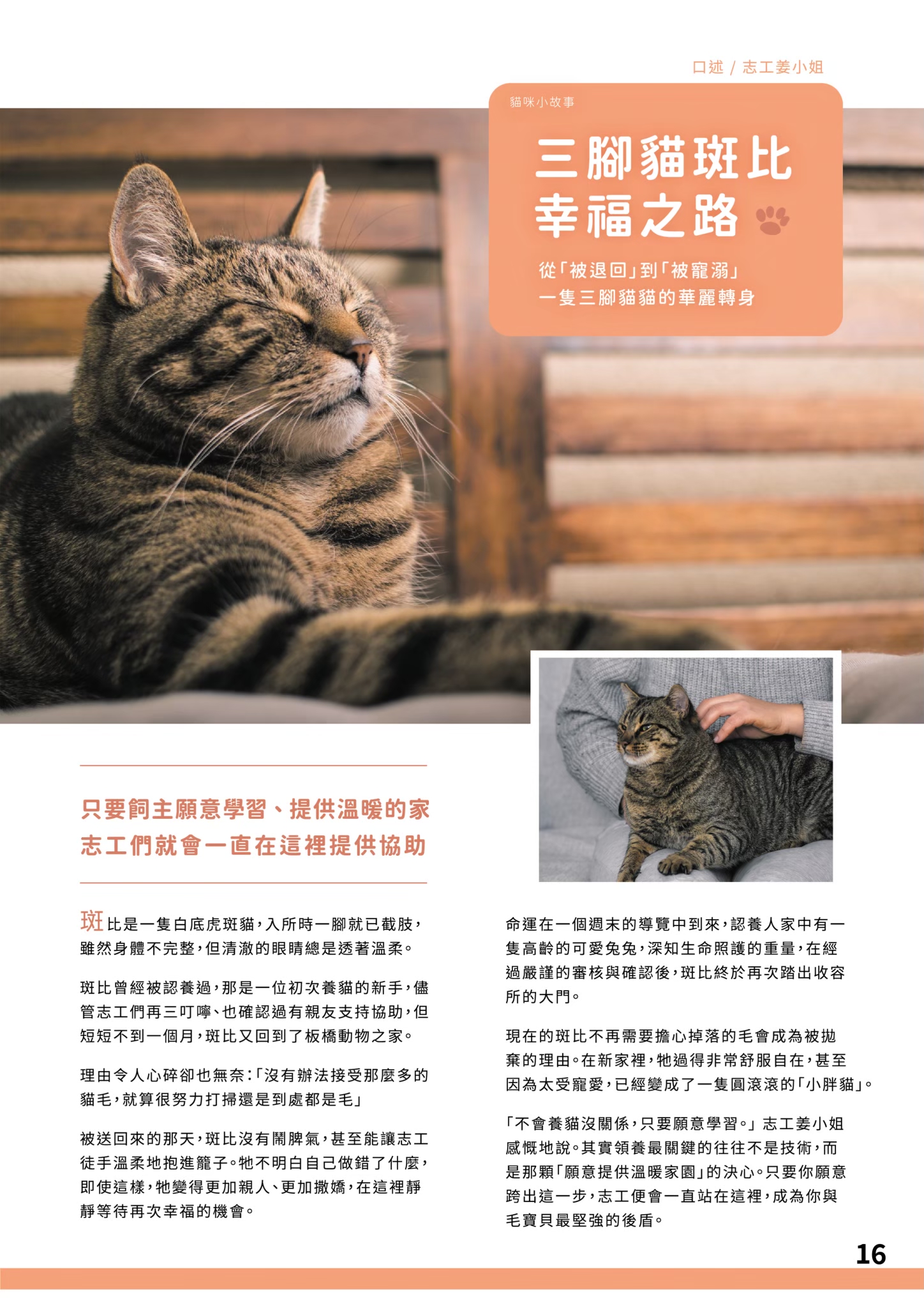 LINE ALBUM 21期會訊 260318 17
