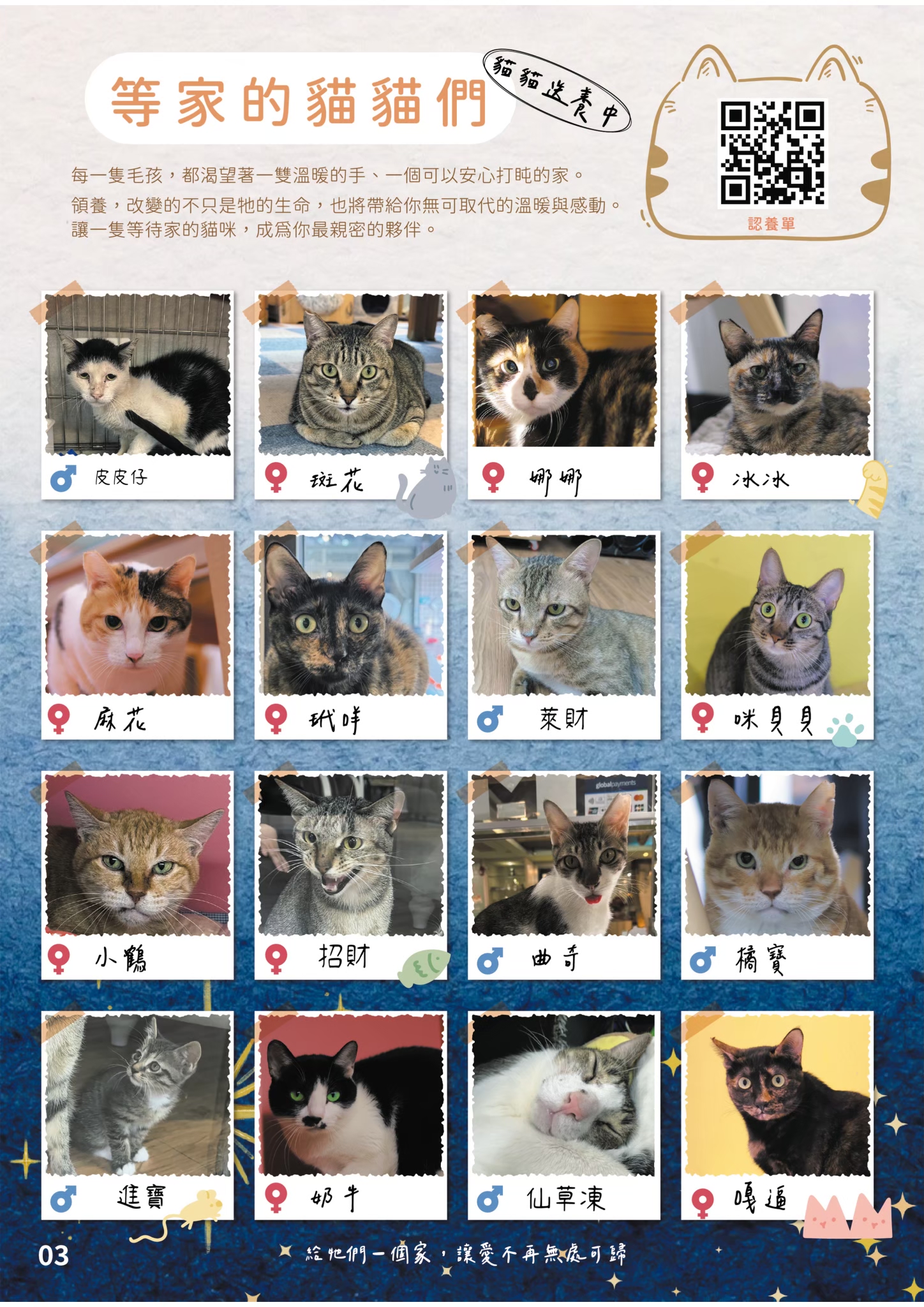 LINE ALBUM 21期會訊 260318 4