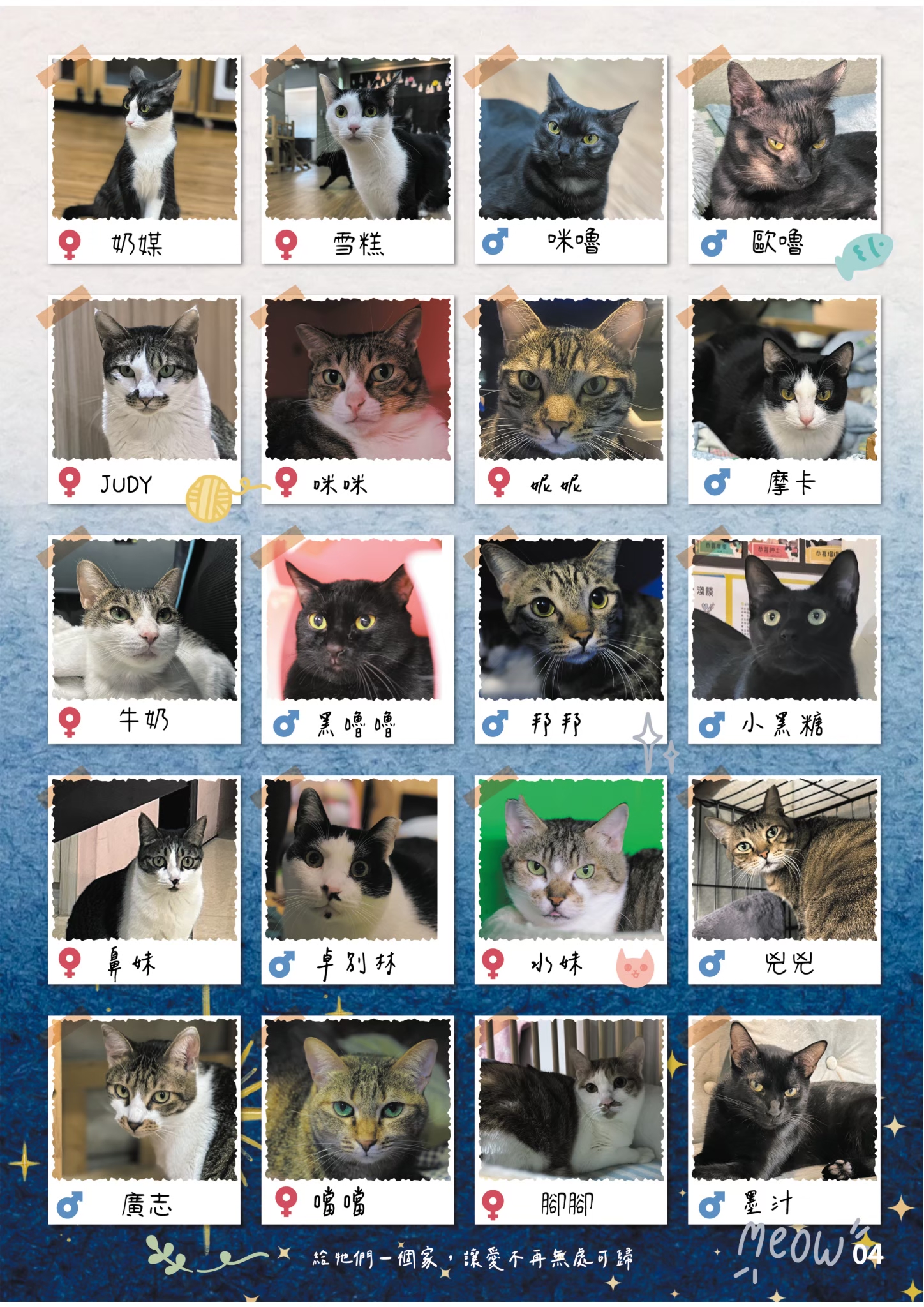 LINE ALBUM 21期會訊 260318 5