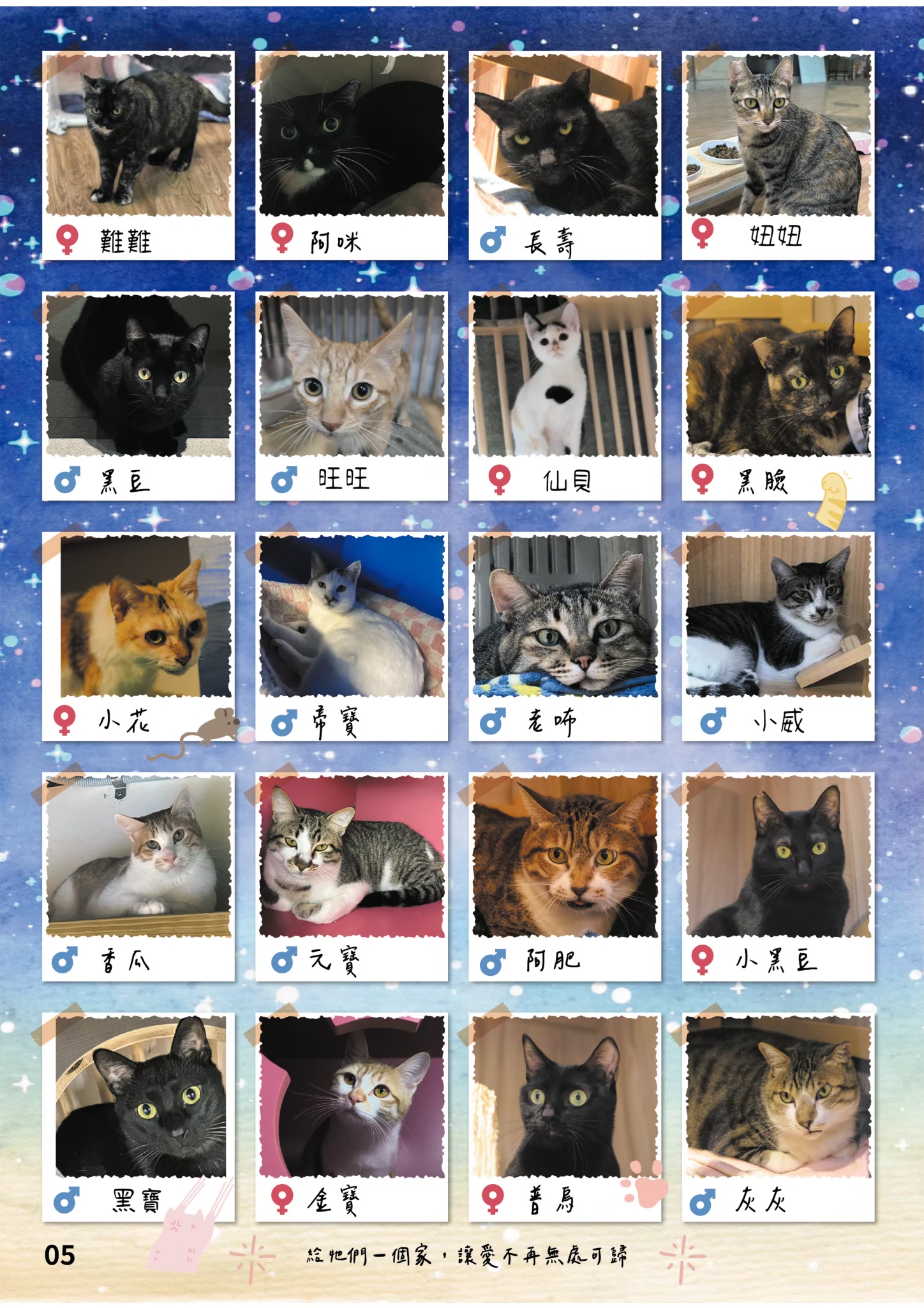 LINE ALBUM 21期會訊 260318 6