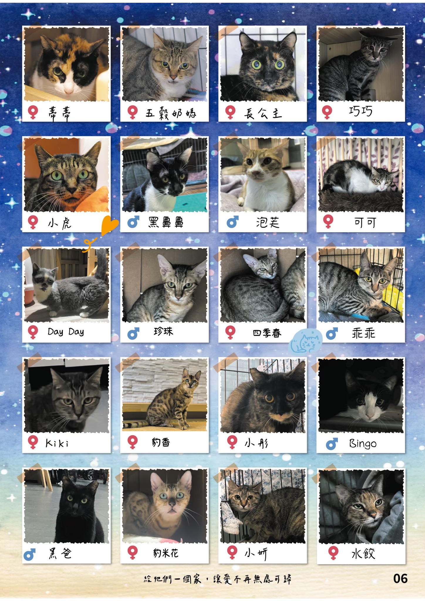 LINE ALBUM 21期會訊 260318 7
