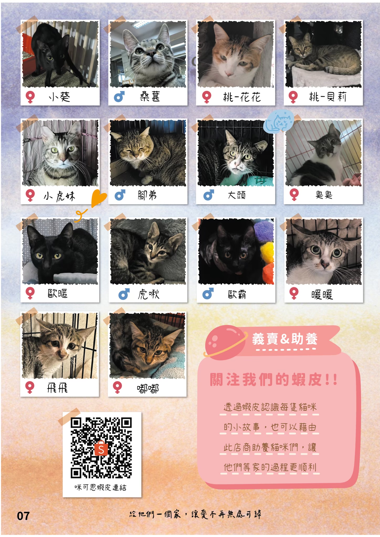 LINE ALBUM 21期會訊 260318 8
