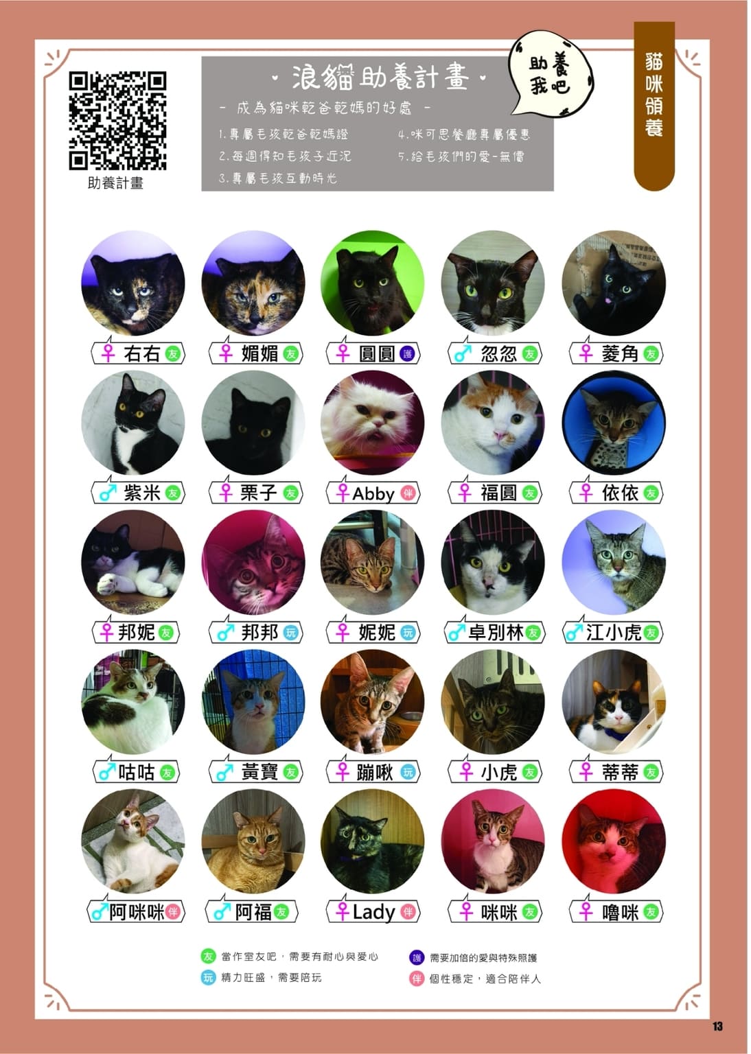 LINE ALBUM 第13期 260401 15