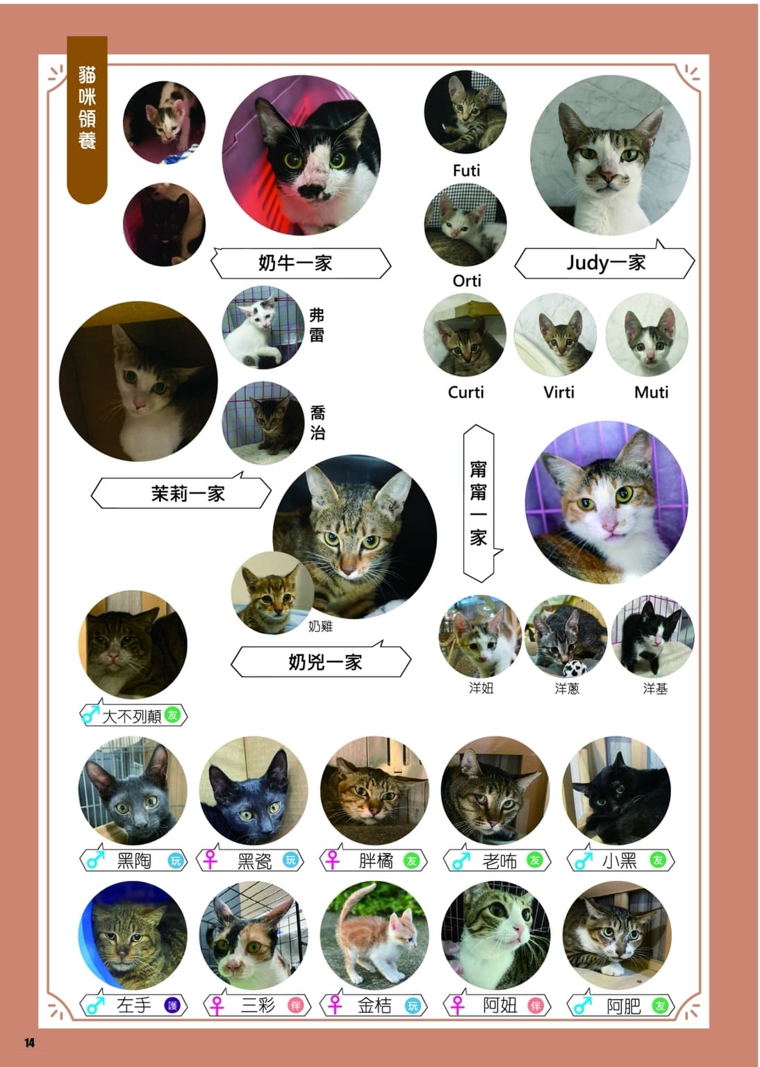 LINE ALBUM 第13期 260401 16