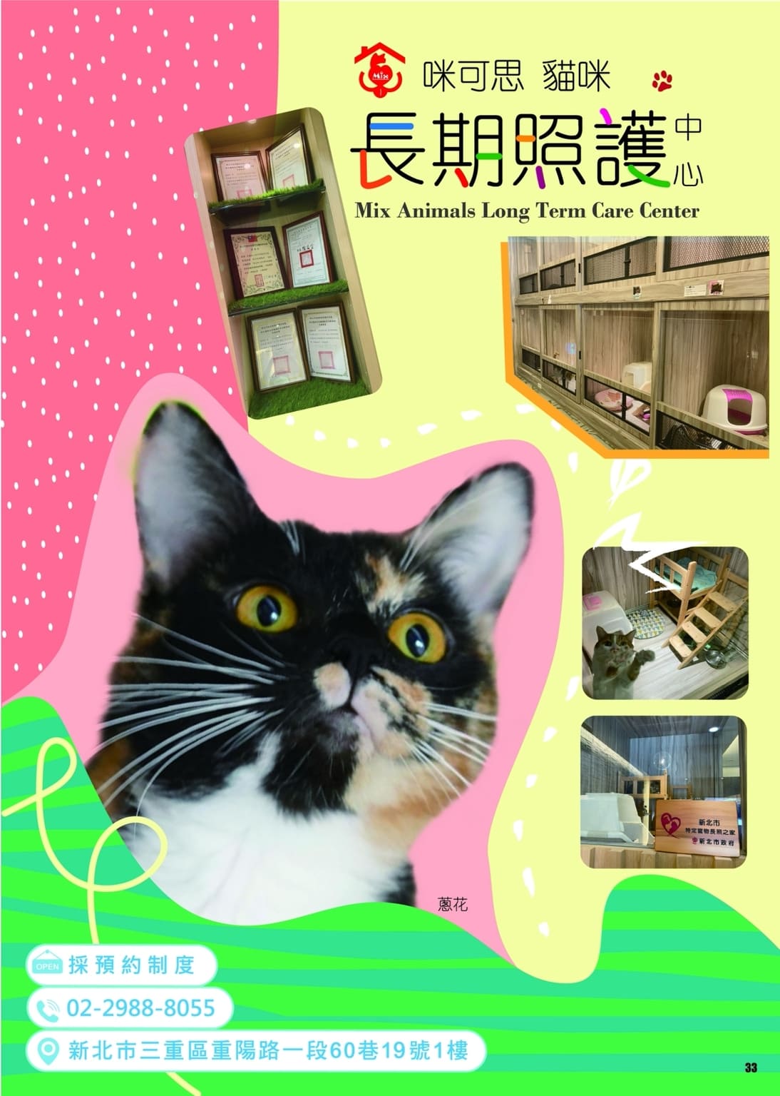 LINE ALBUM 第13期 260401 35