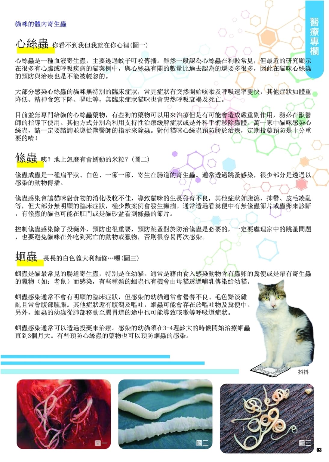 LINE ALBUM 第13期 260401 5