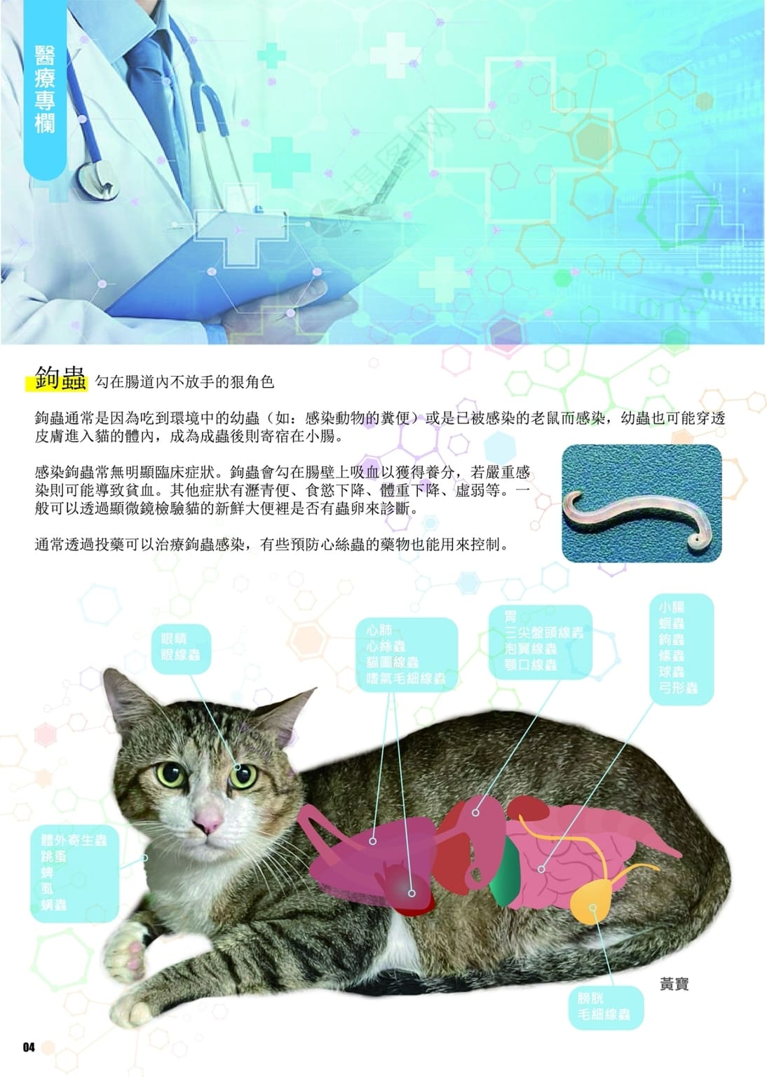 LINE ALBUM 第13期 260401 6