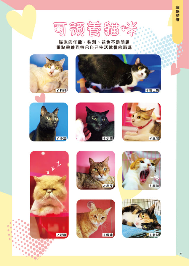 Mix7 印刷 17