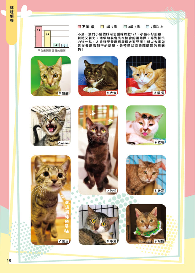 Mix7 印刷 18