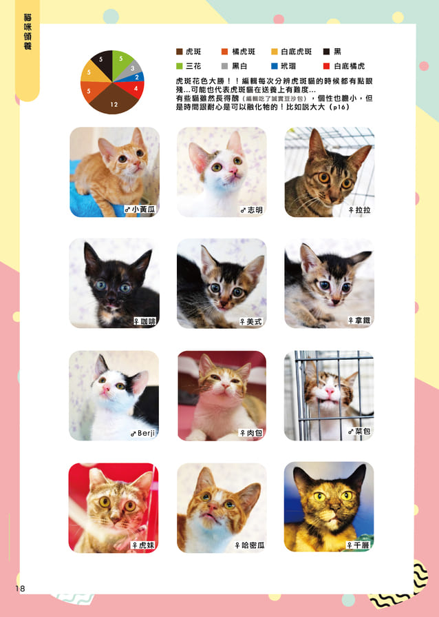 Mix7 印刷 20