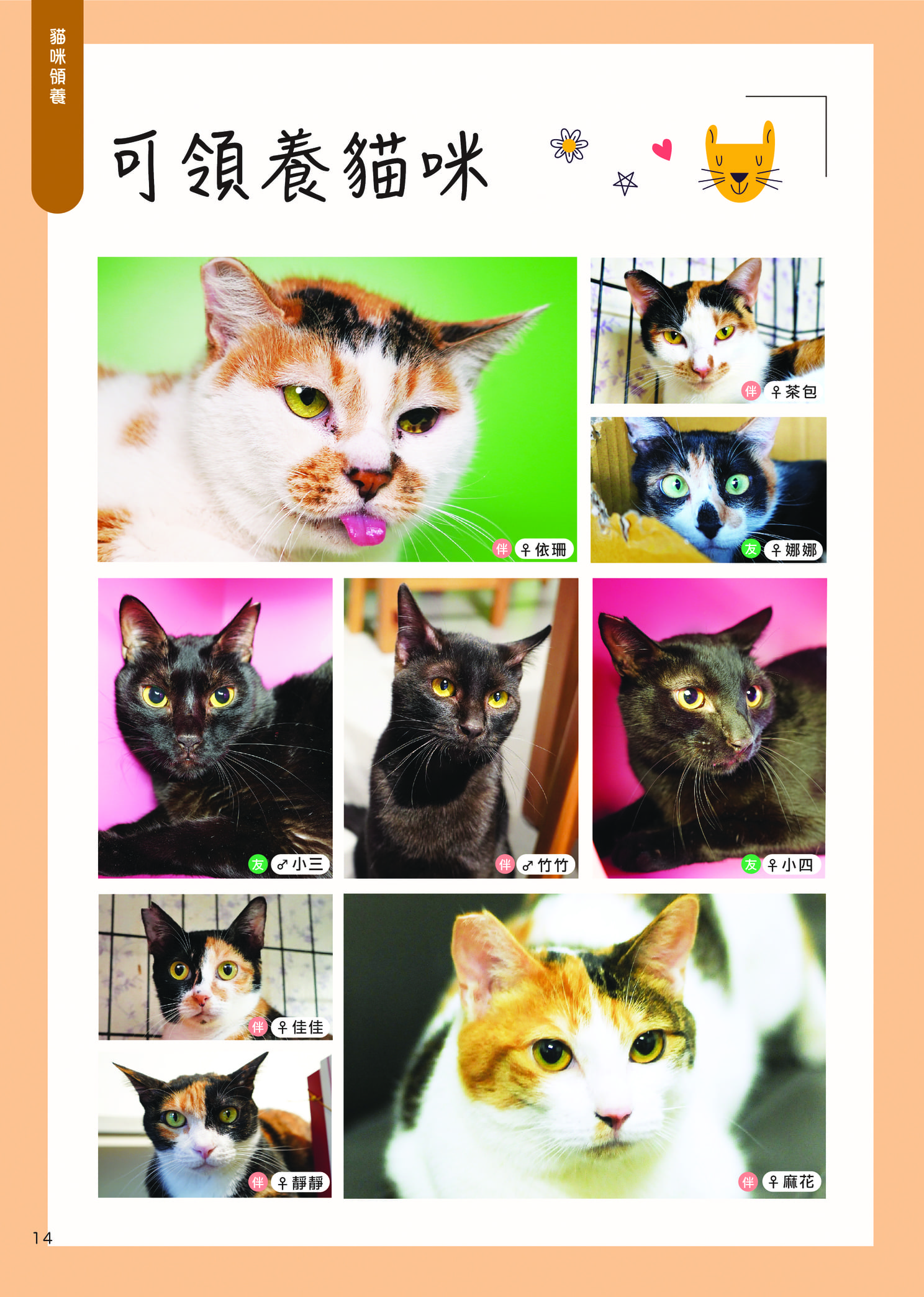 Mix8 32p 16