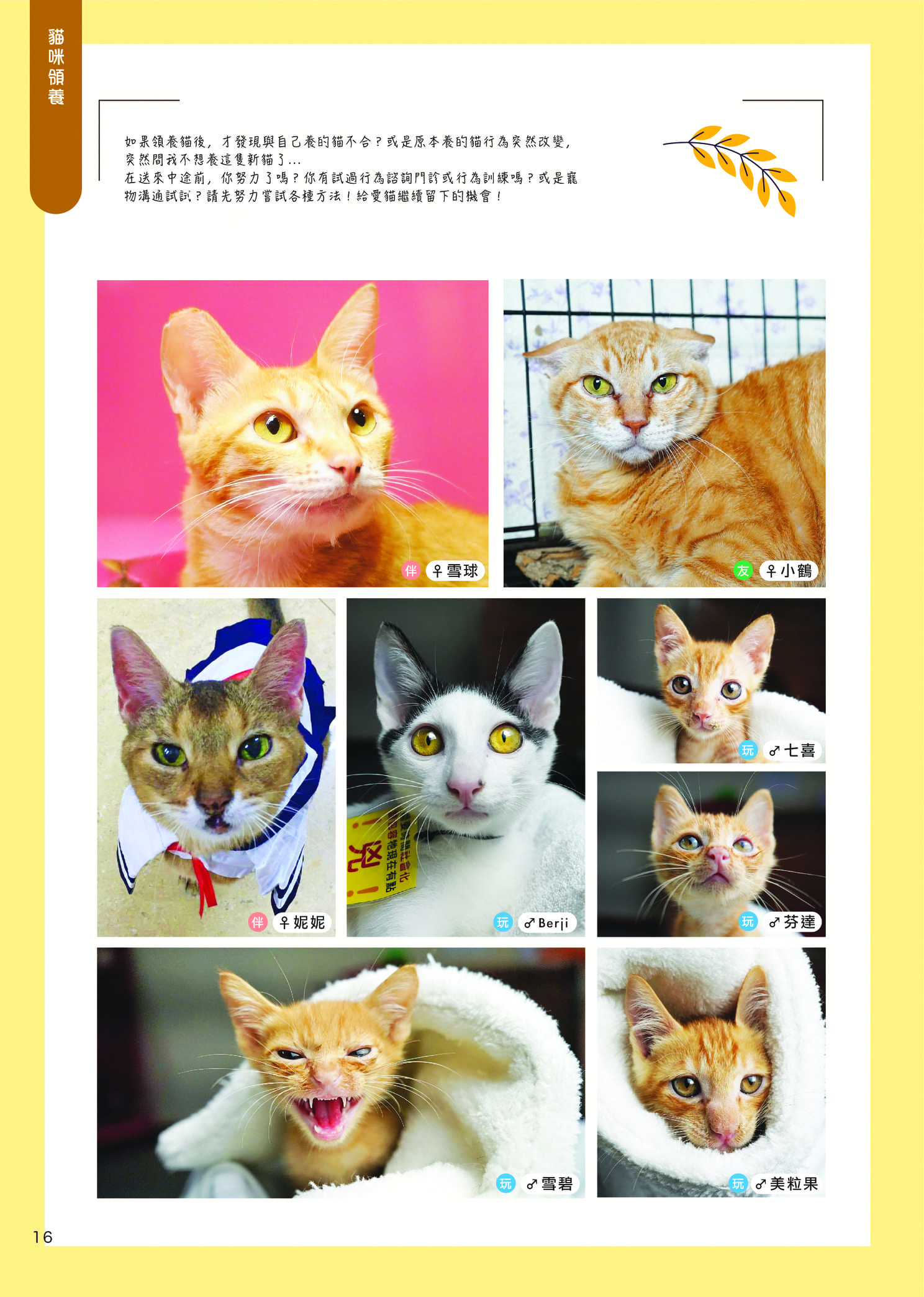 Mix8 32p 18