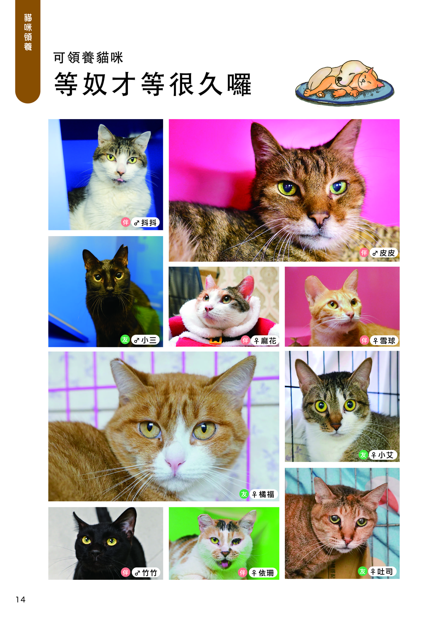 Mix9書出版 16