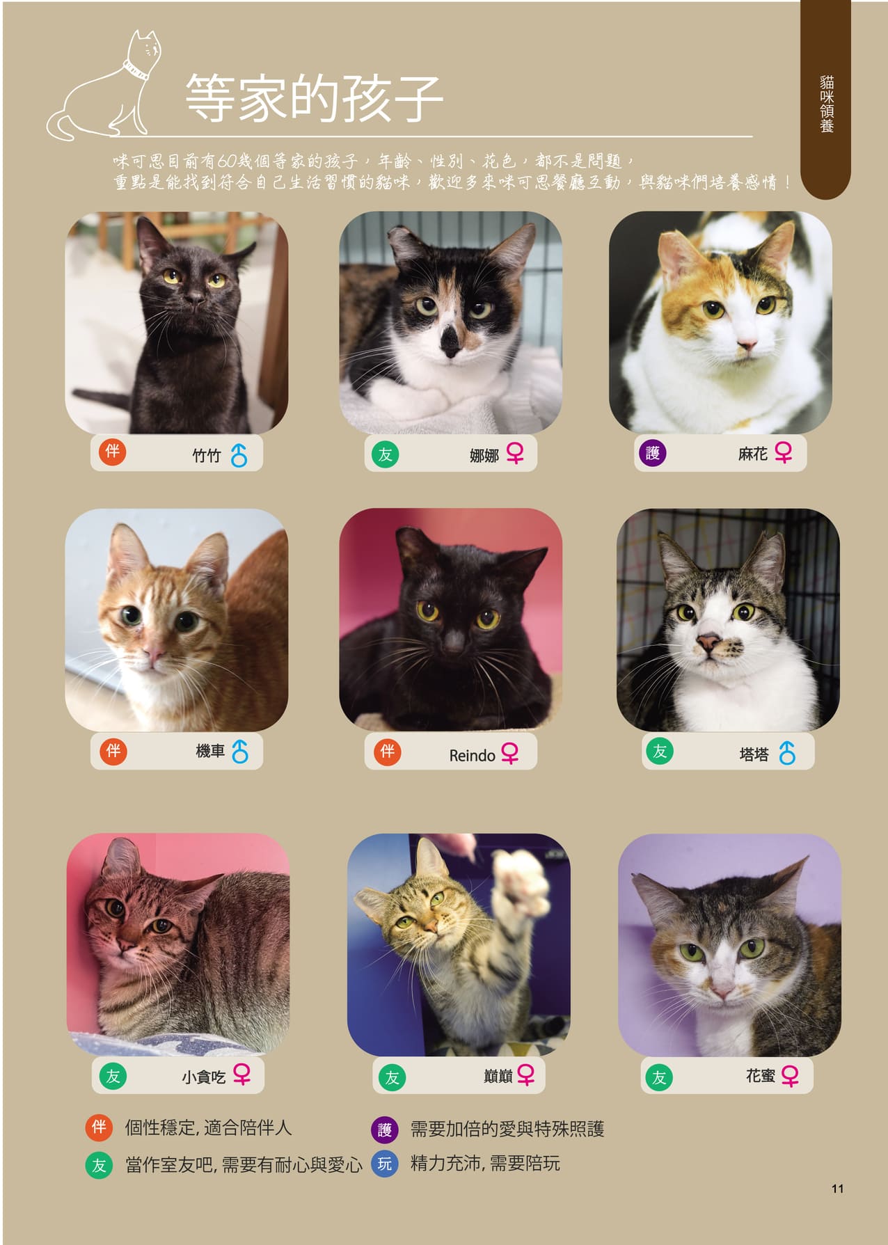 MixPaper11 13